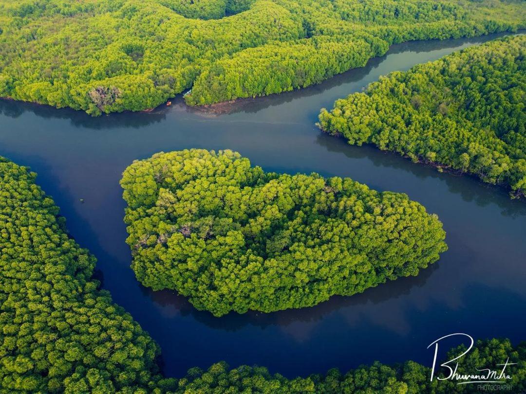 Photo 62