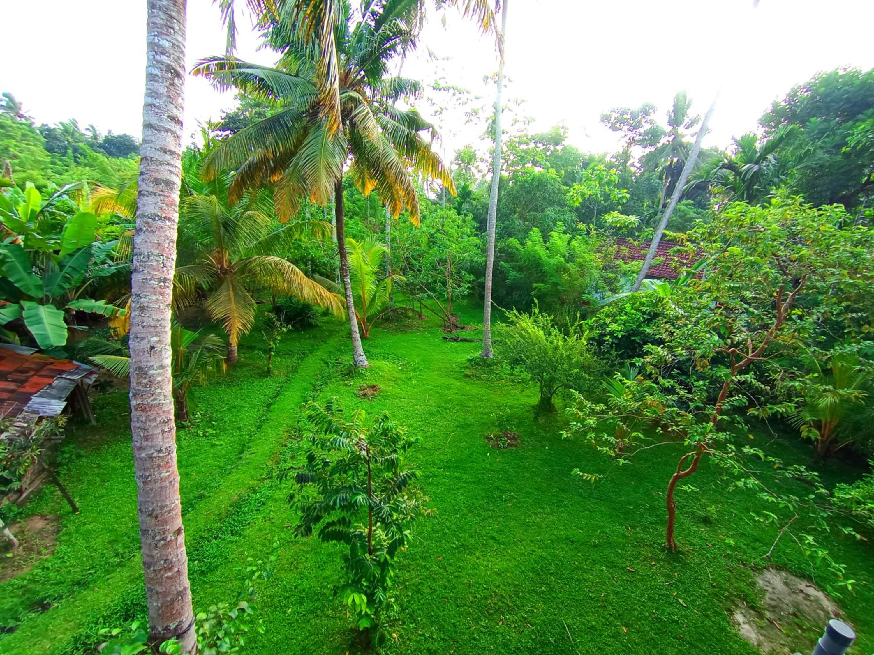 Would Villa Mirissa