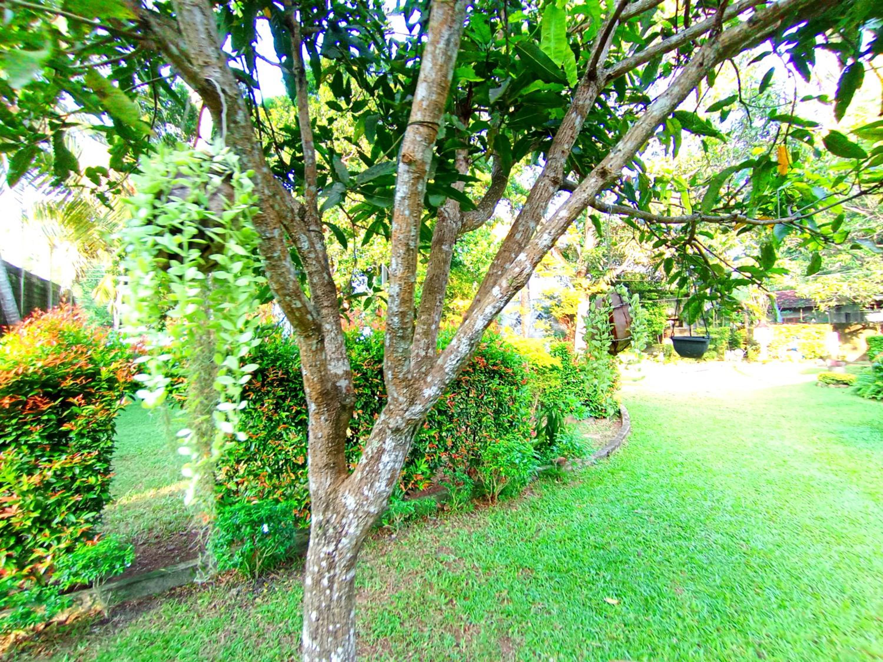 Would Villa Mirissa