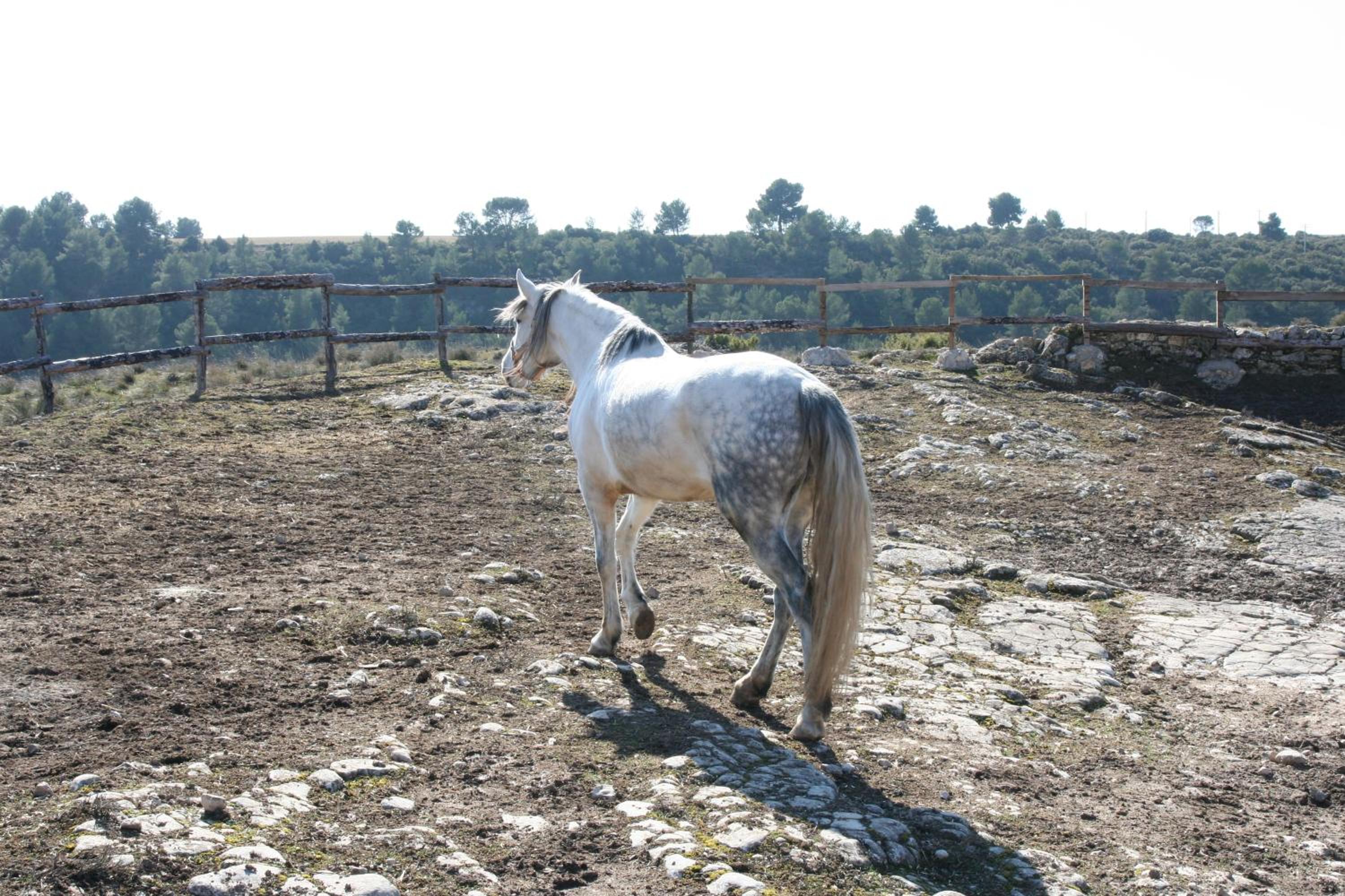 La Posada del Hidalgo de Alarcón