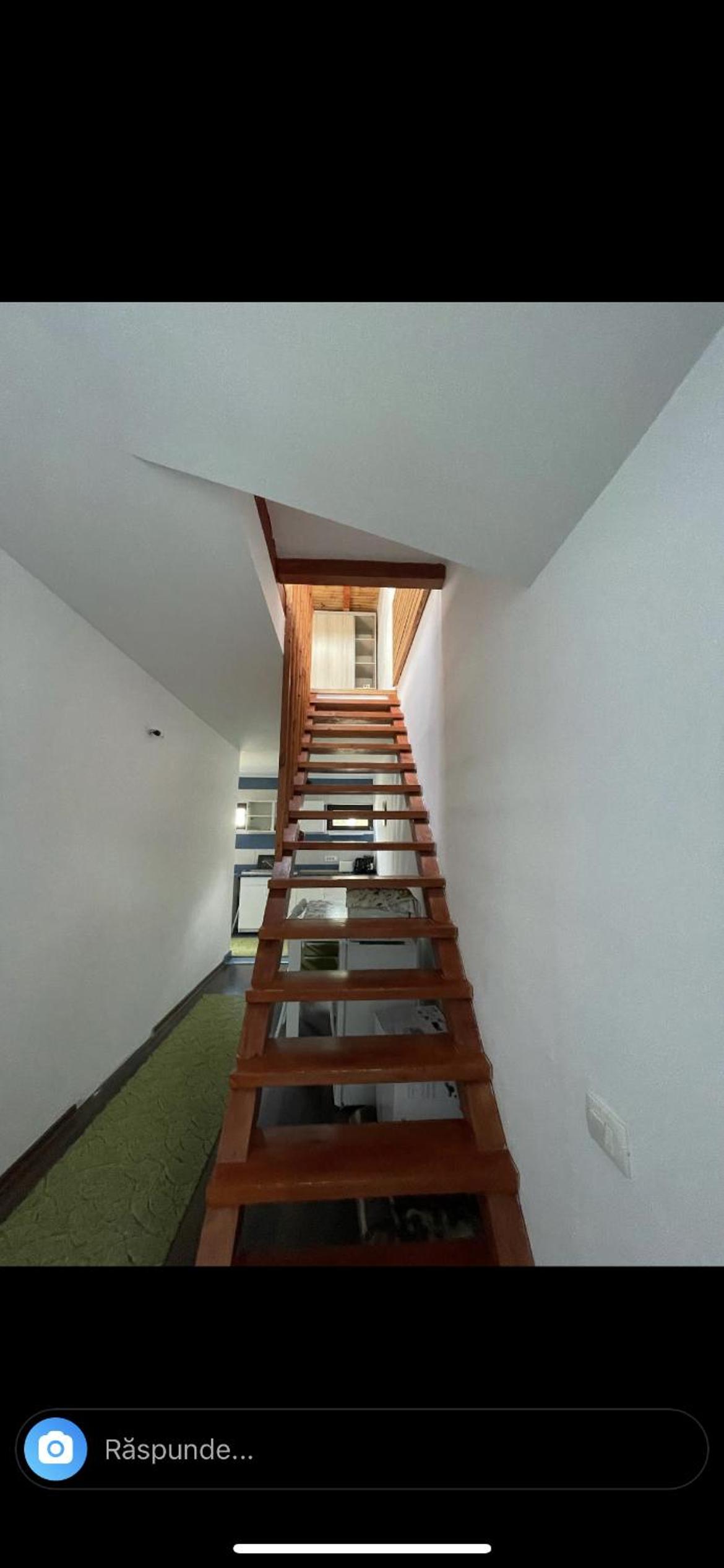 Sasha place view 3