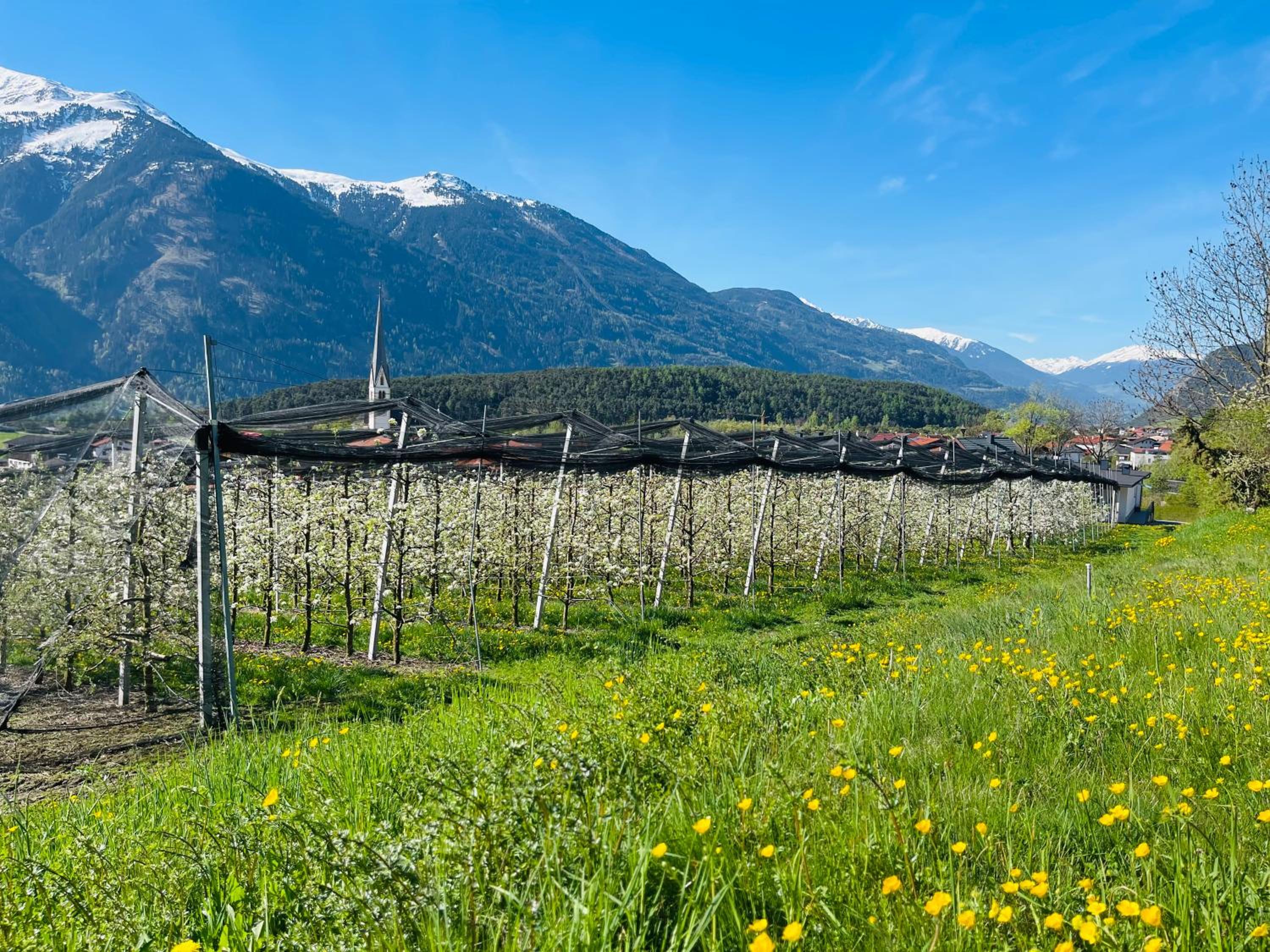 Ferienwohnungen Lukaserhof