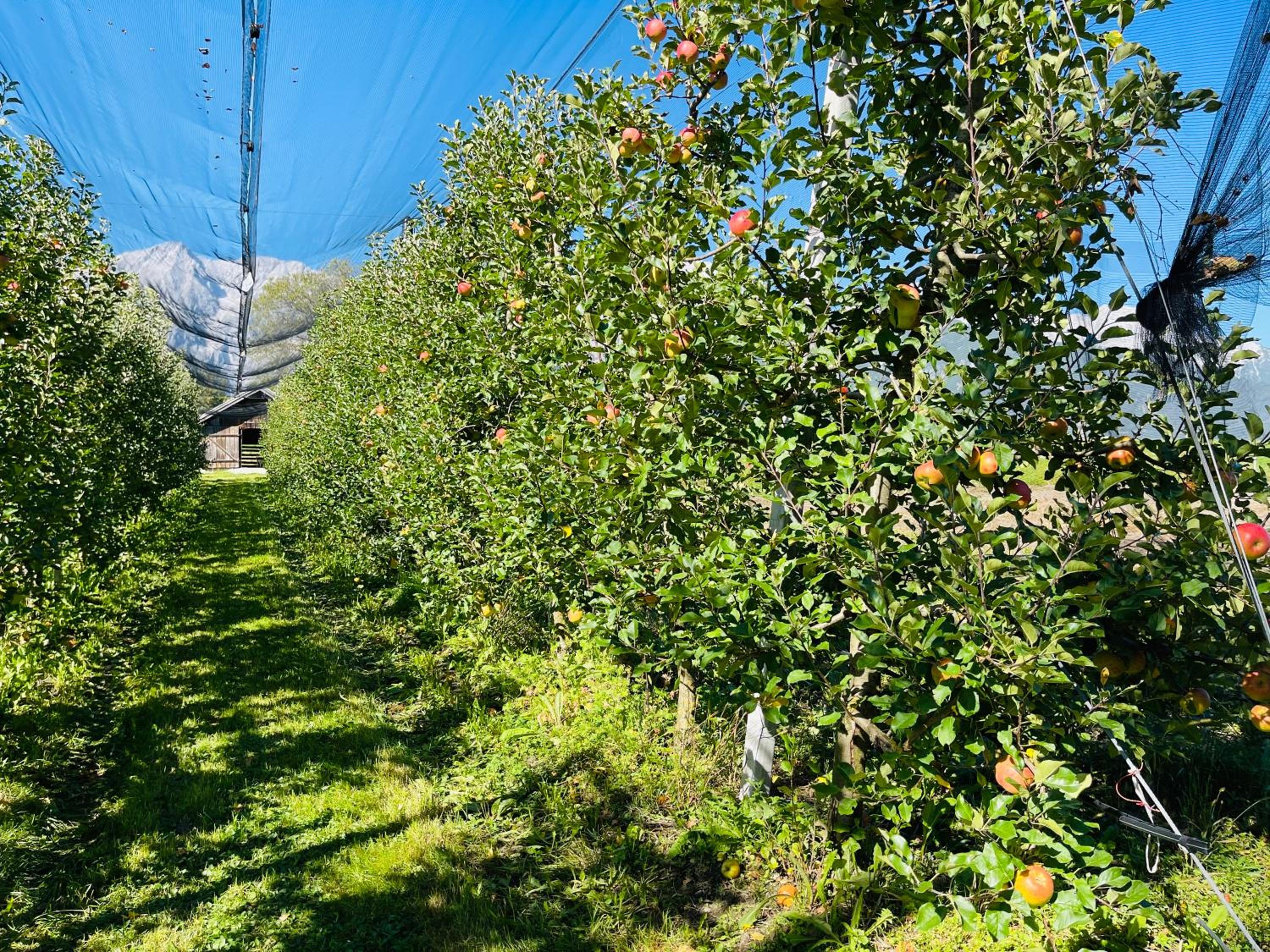 Ferienwohnungen Lukaserhof