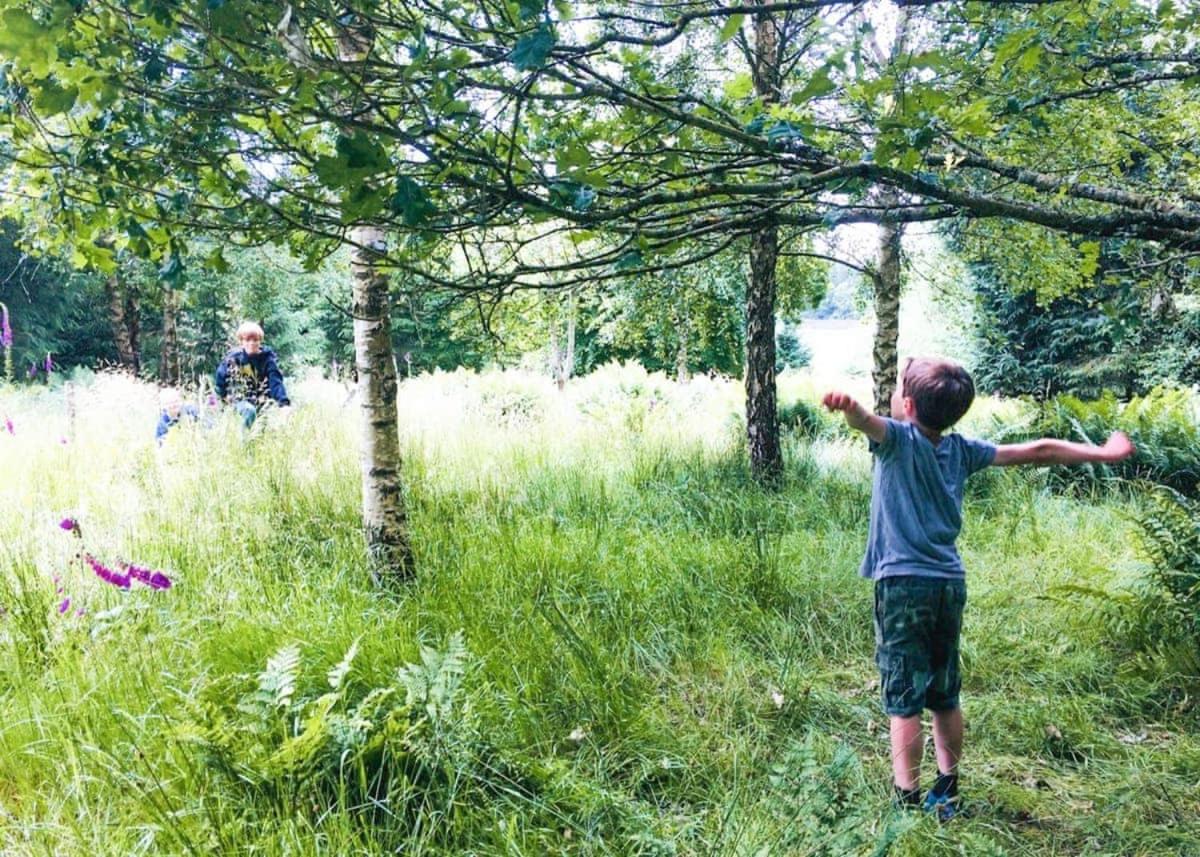 Thirlestane Woodland Lodges
