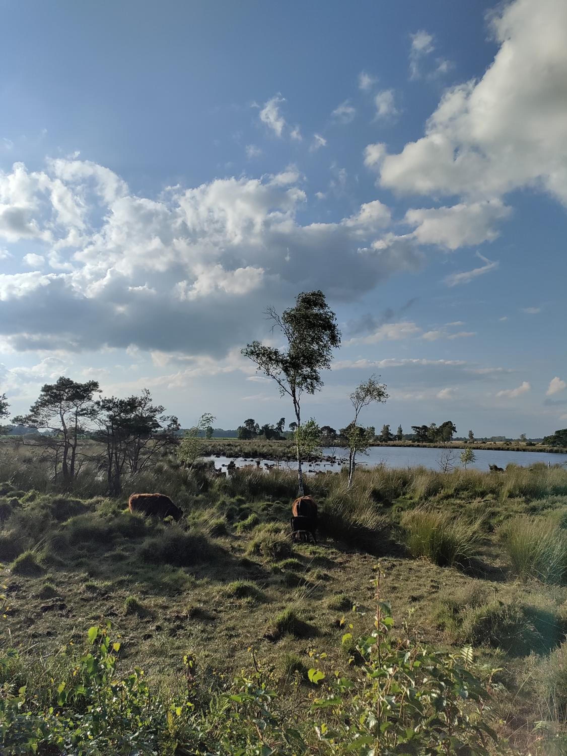 Zen huisje