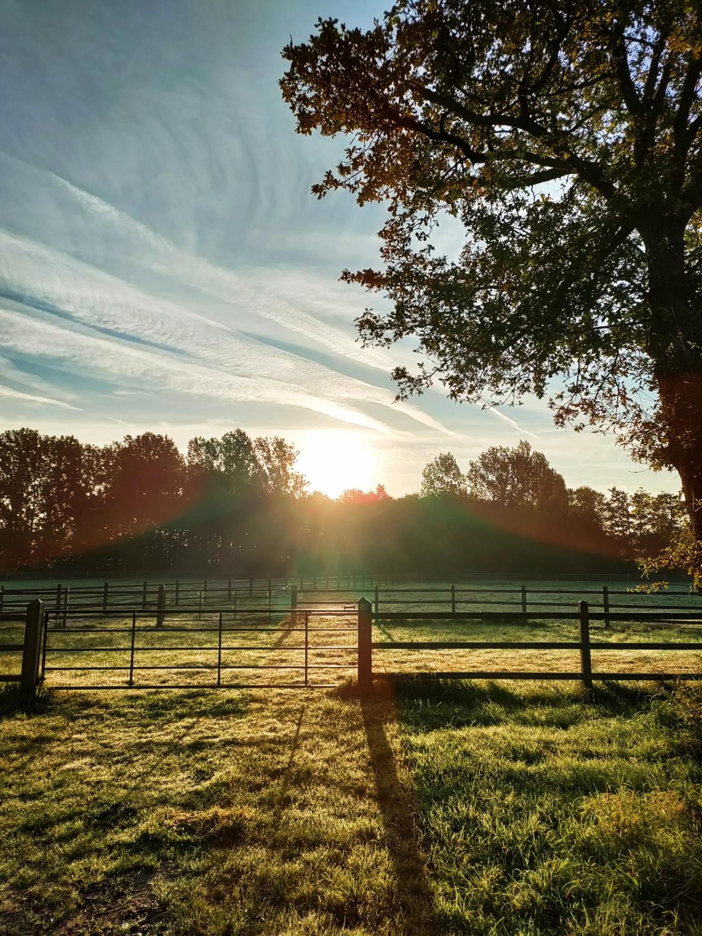 Zen huisje