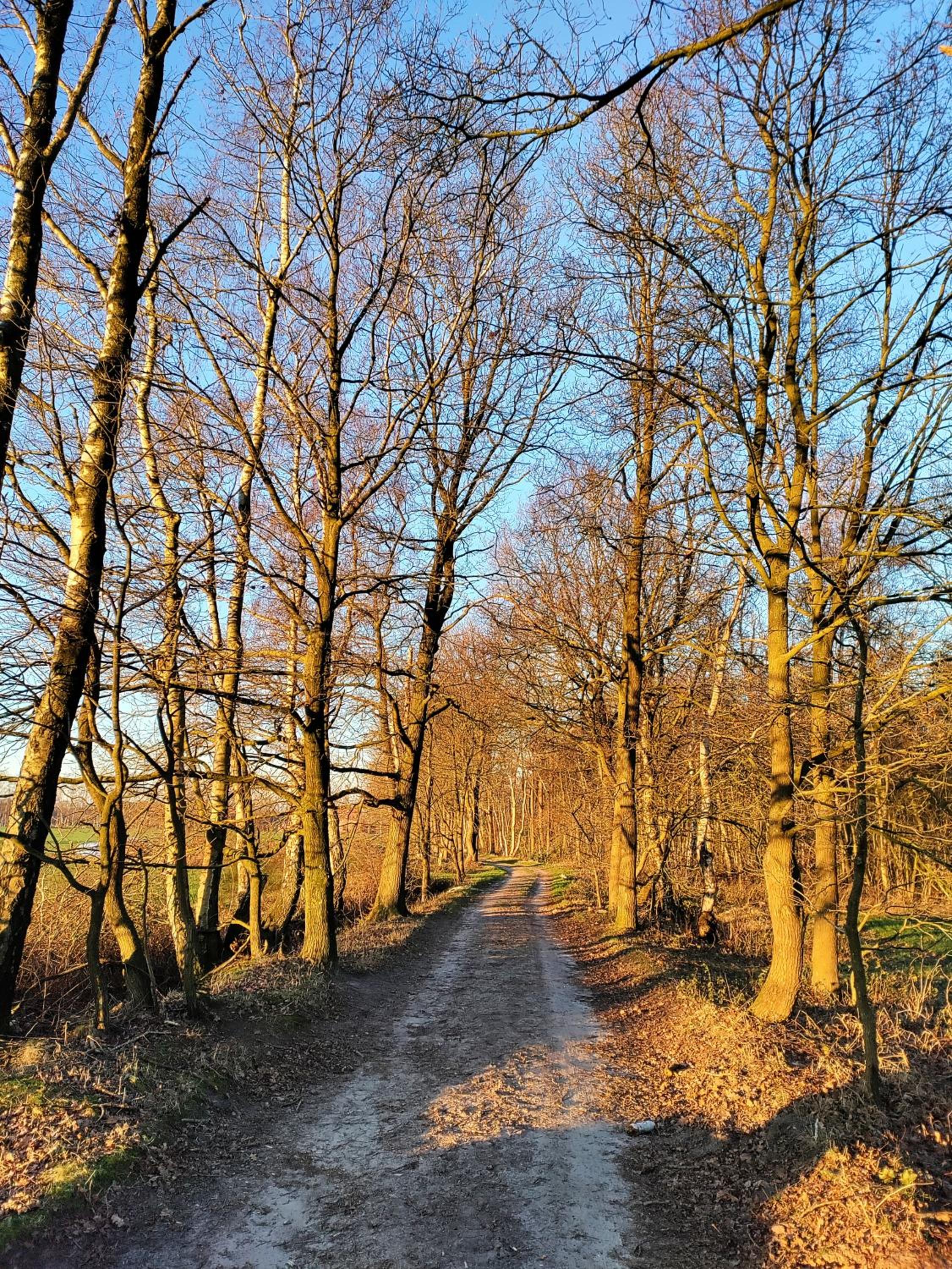 Zen huisje