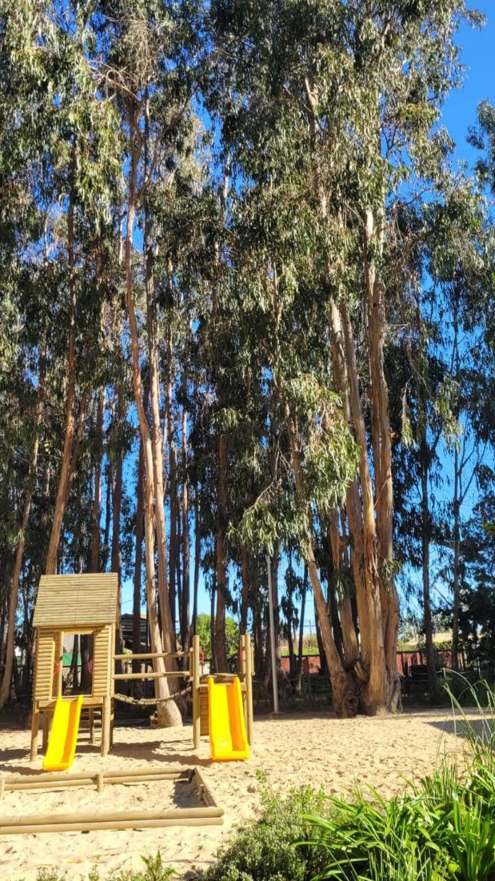 Departamento Algarrobo
