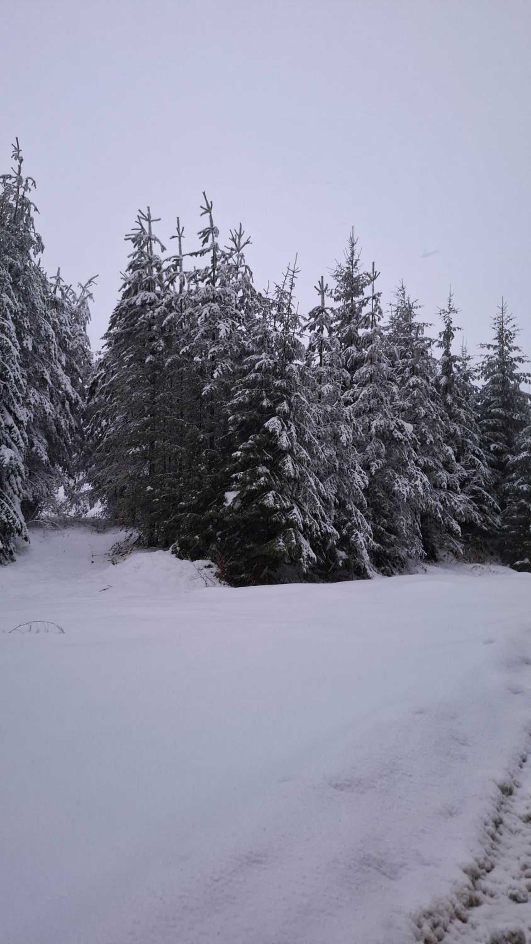Apartment for rest in Borovets