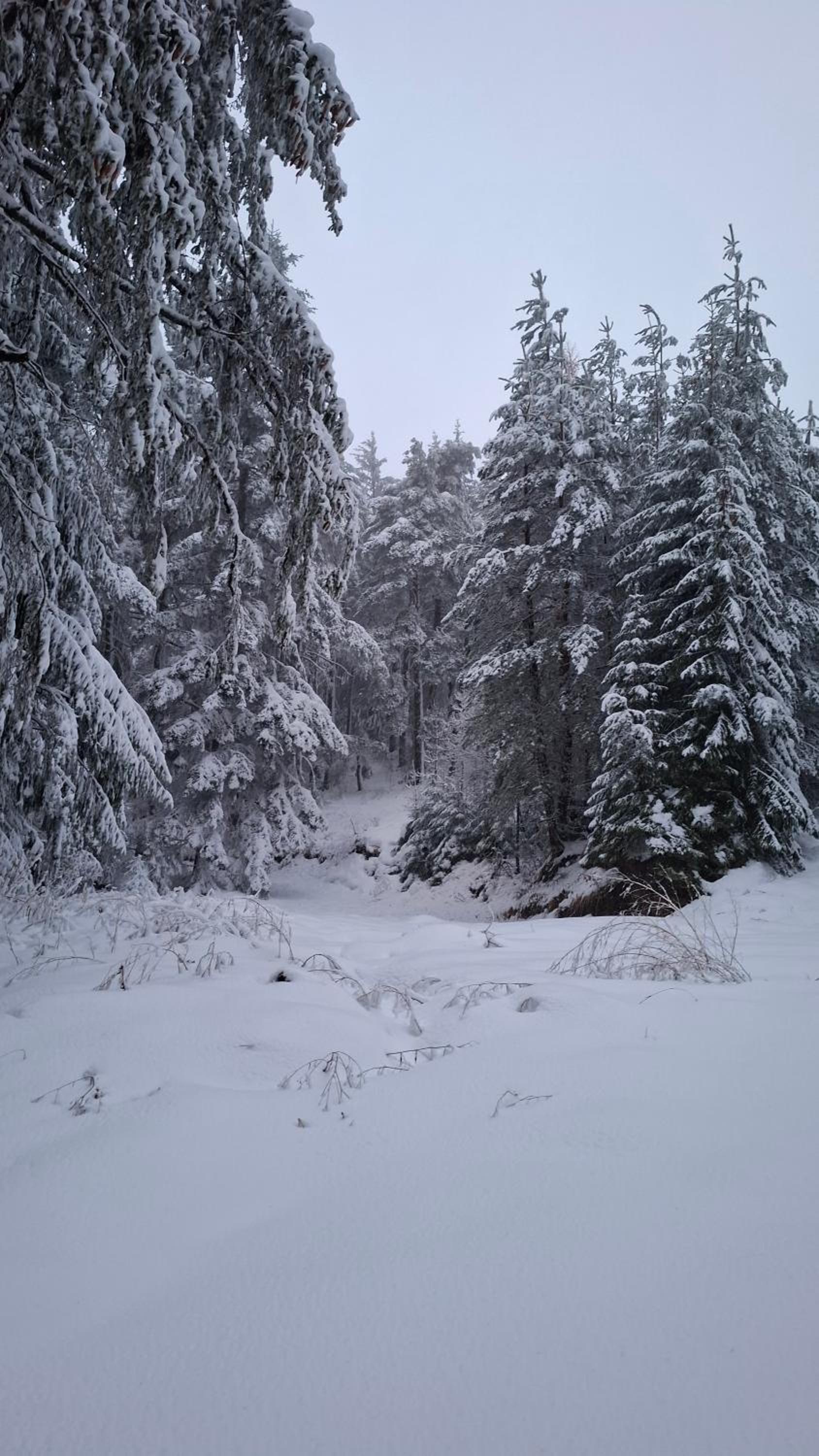 Apartment for rest in Borovets