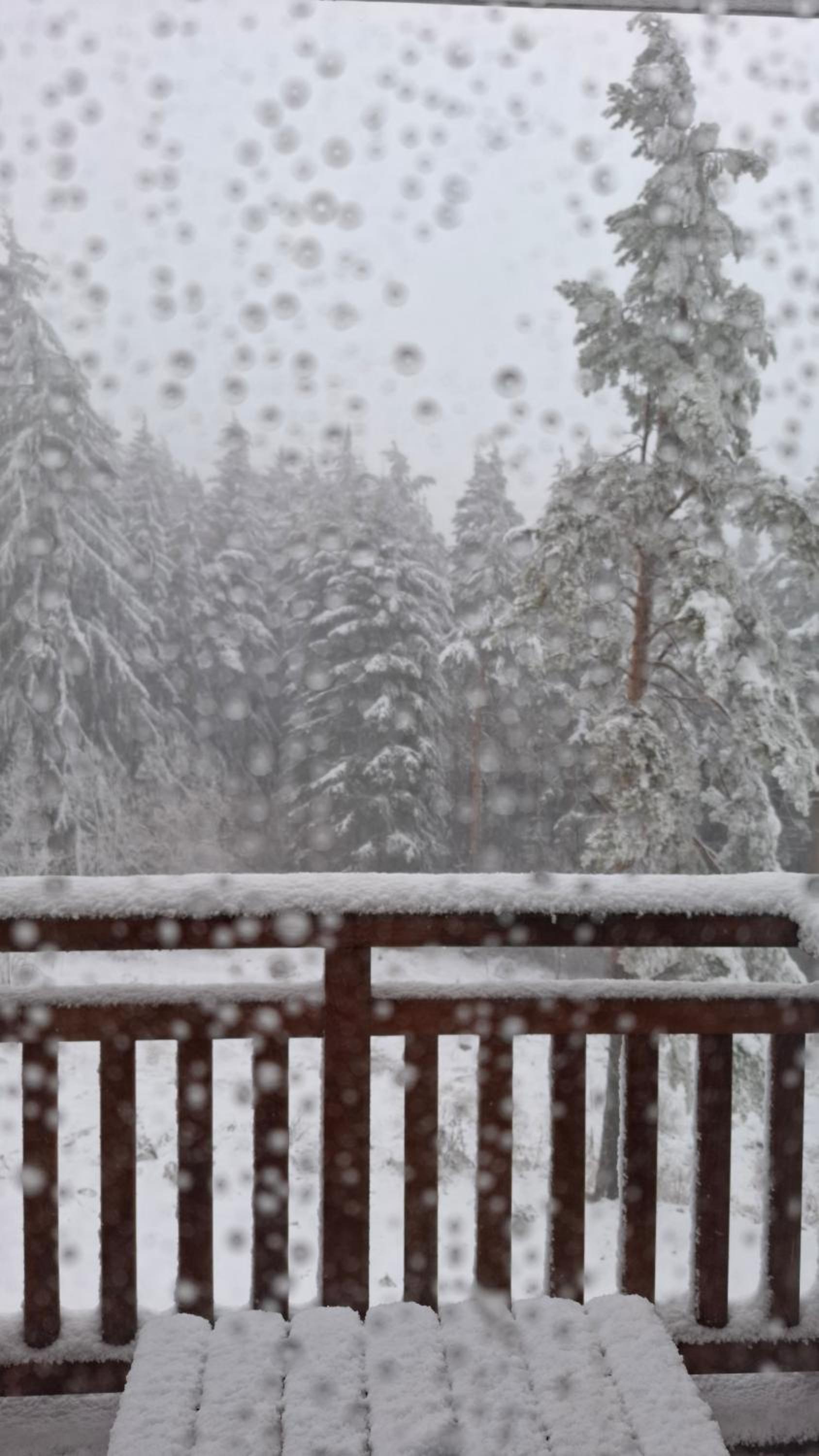 Apartment for rest in Borovets