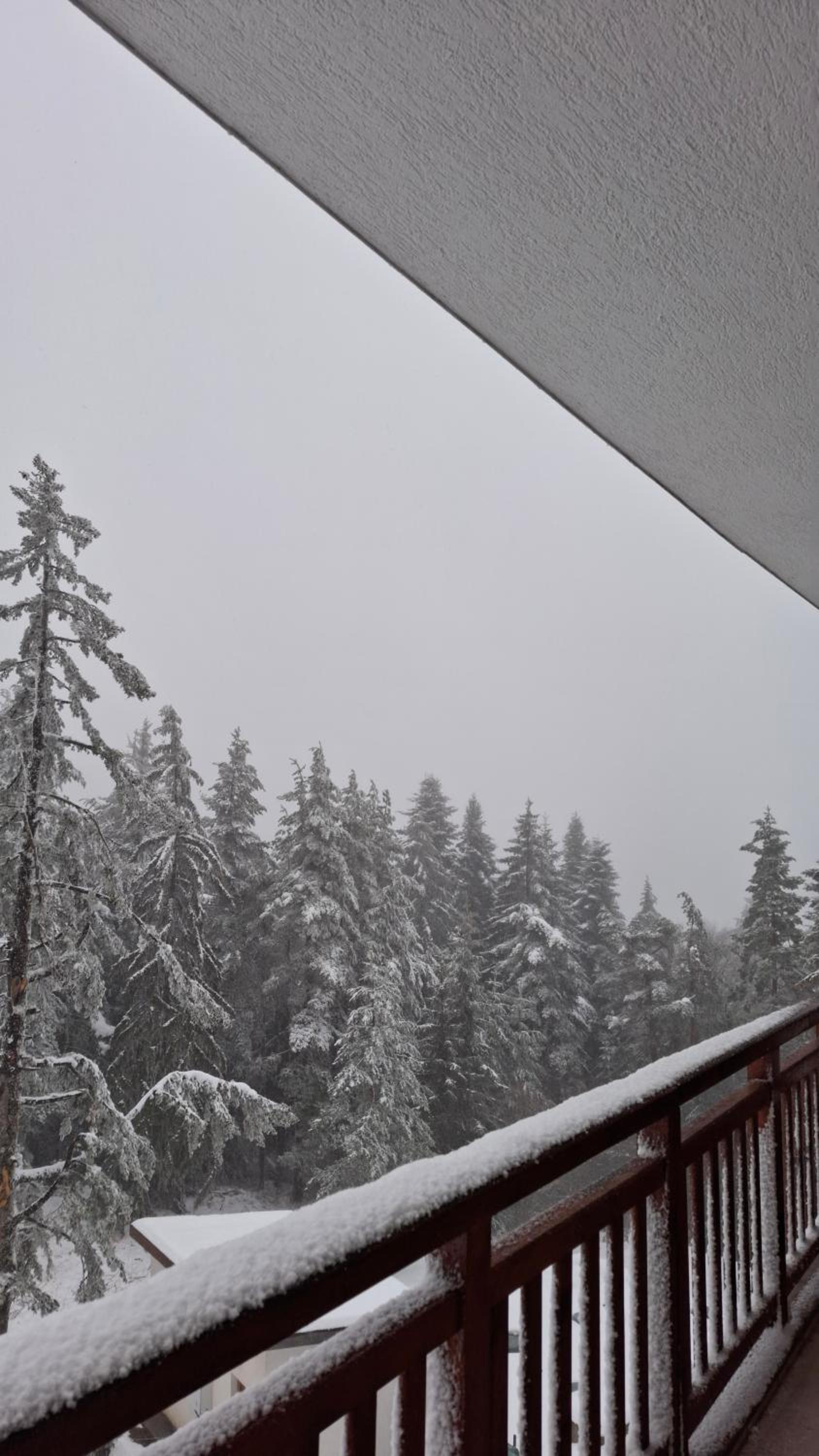 Apartment for rest in Borovets
