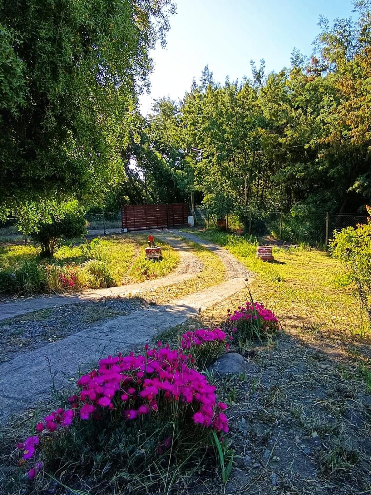 Casa en parcela Las Hortensias