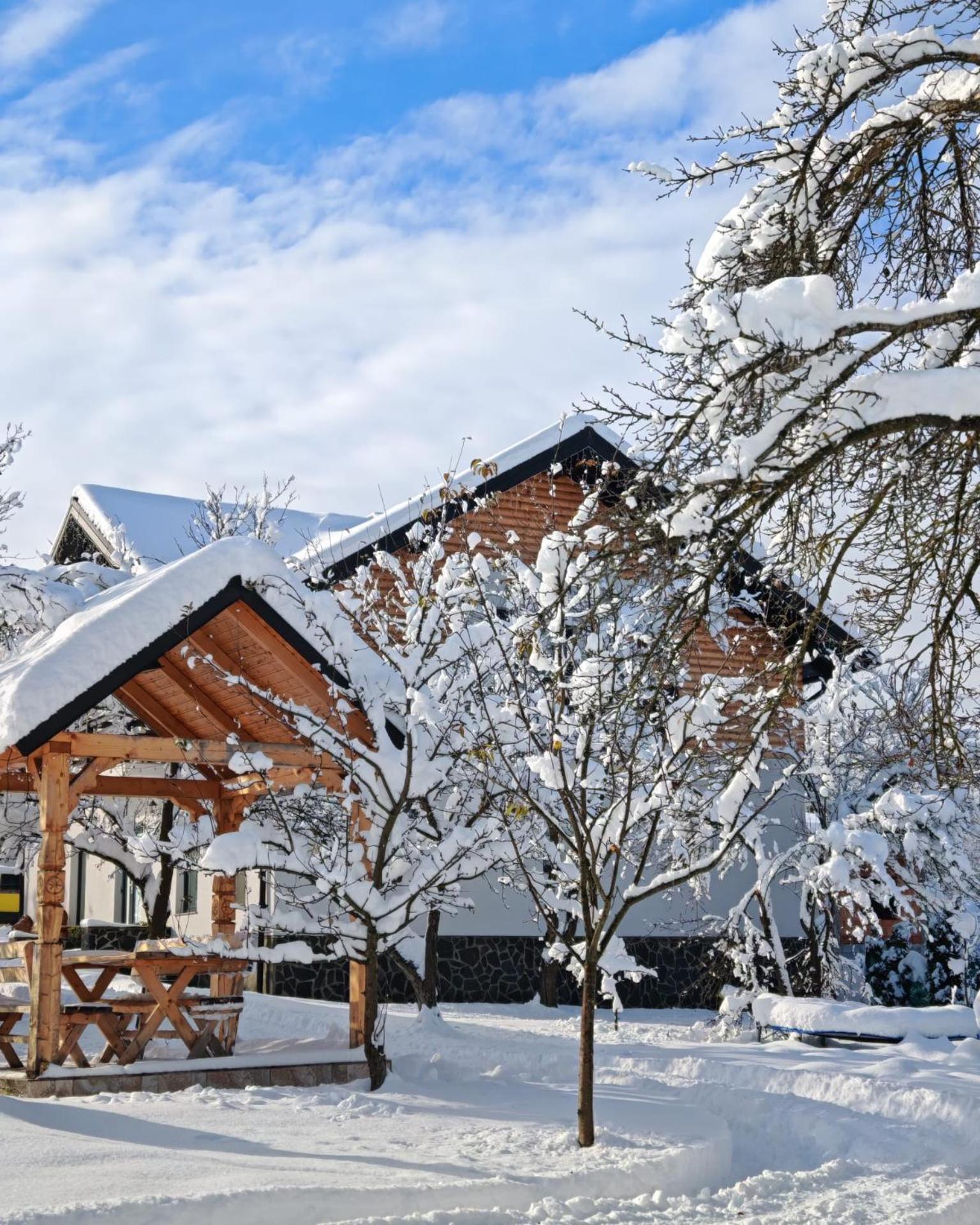Cabana Maramures Landscape view 4