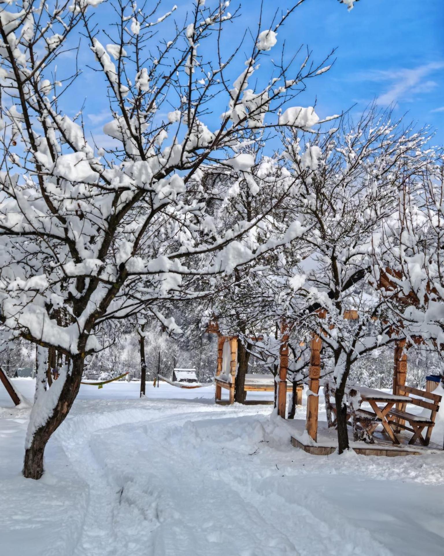 Cabana Maramures Landscape view 5