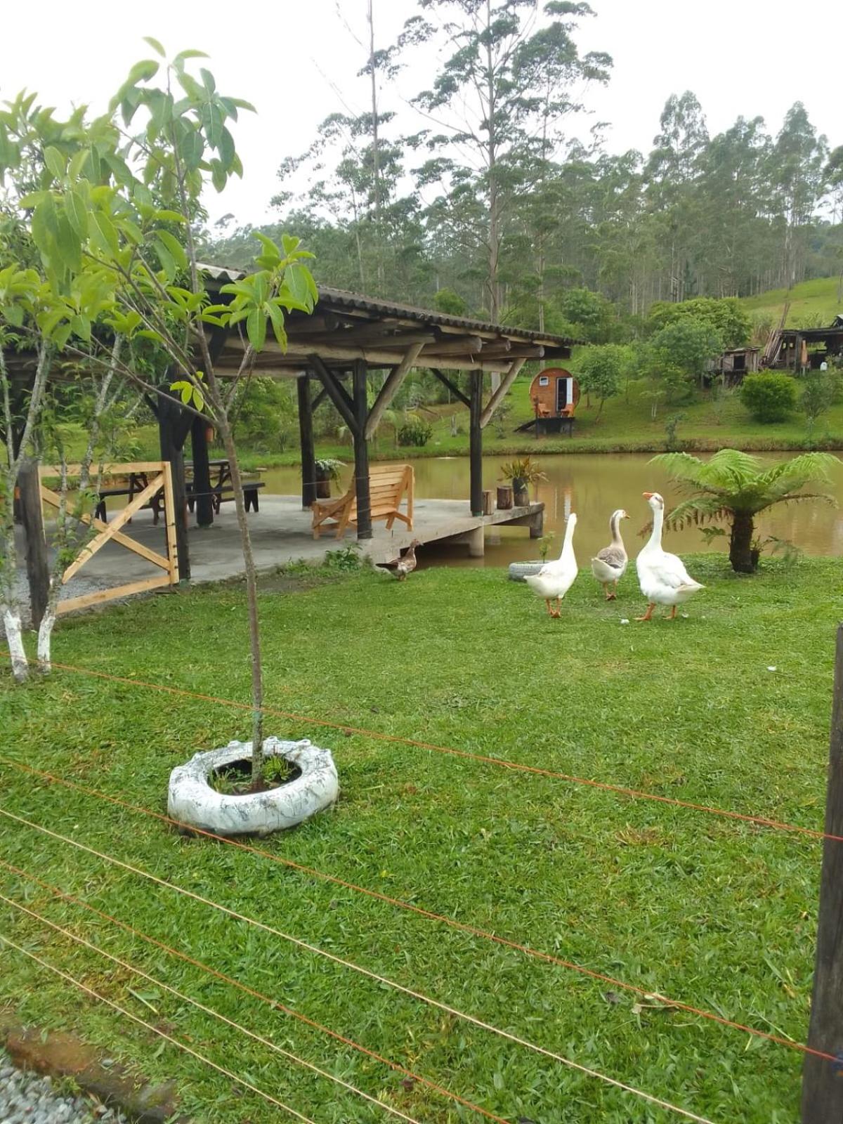 Sitio casa di vó