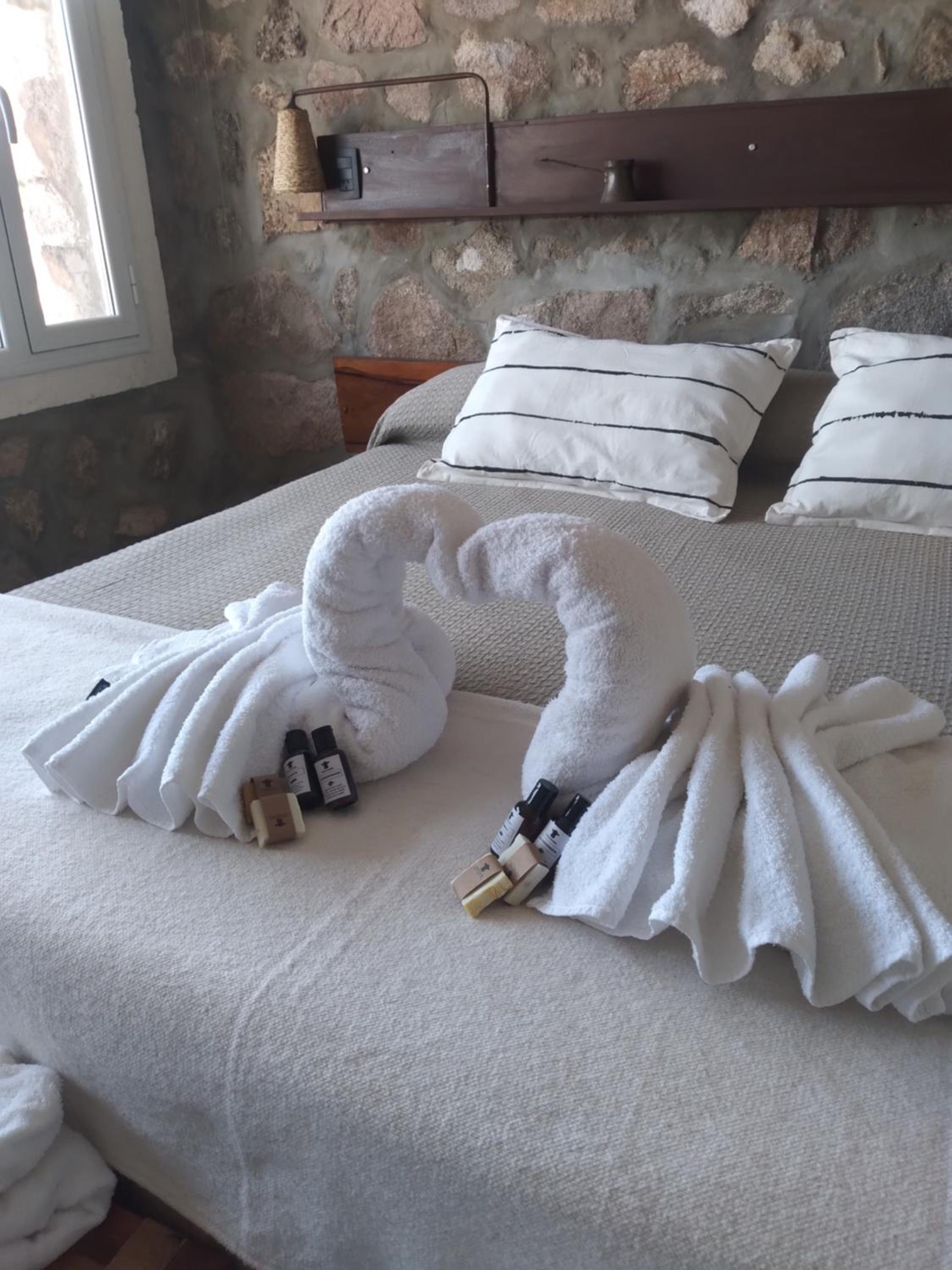 Establecimiento La Soleada suites de campo
