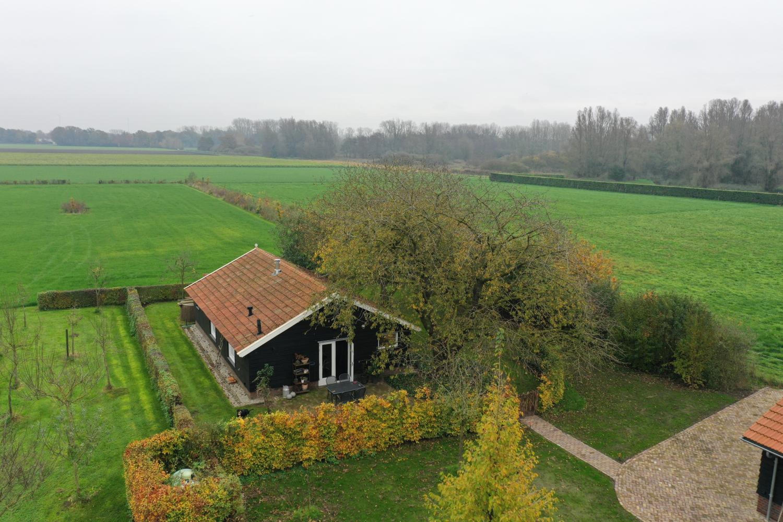 Photo 26