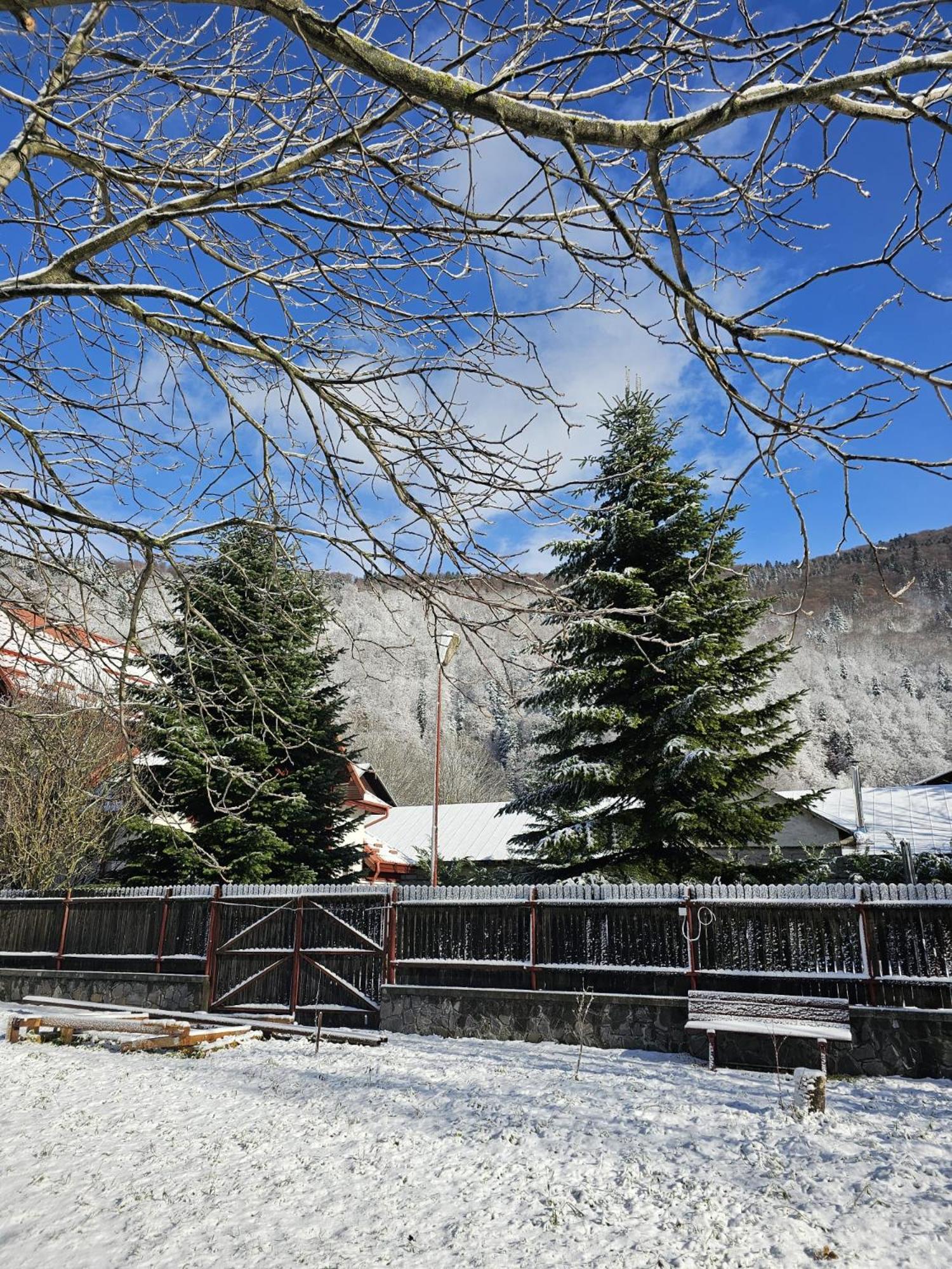 Marlene House view 5