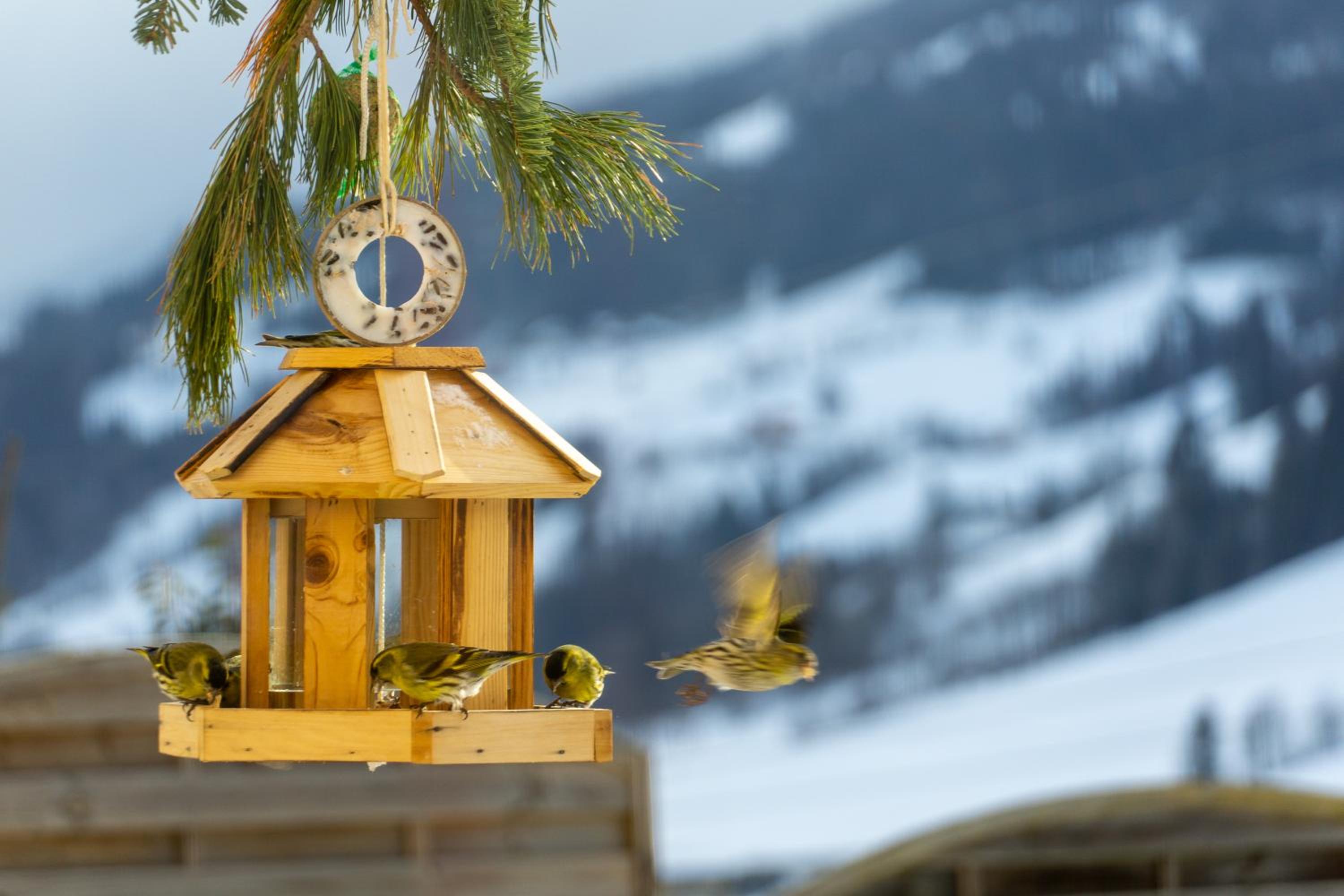 Appartement Mei Liab Schladming