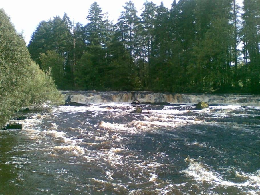 Photo 35