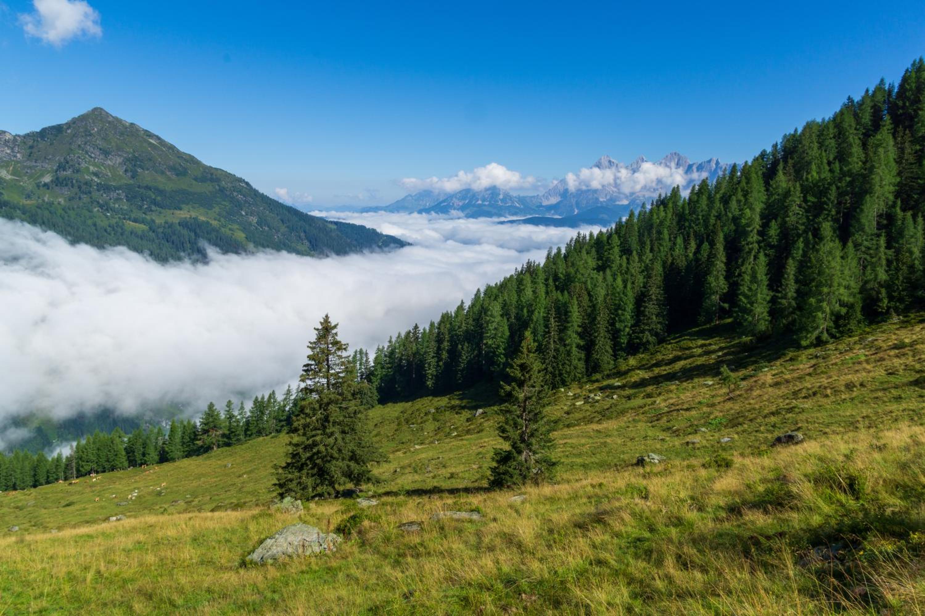 Appartement Mei Liab Schladming