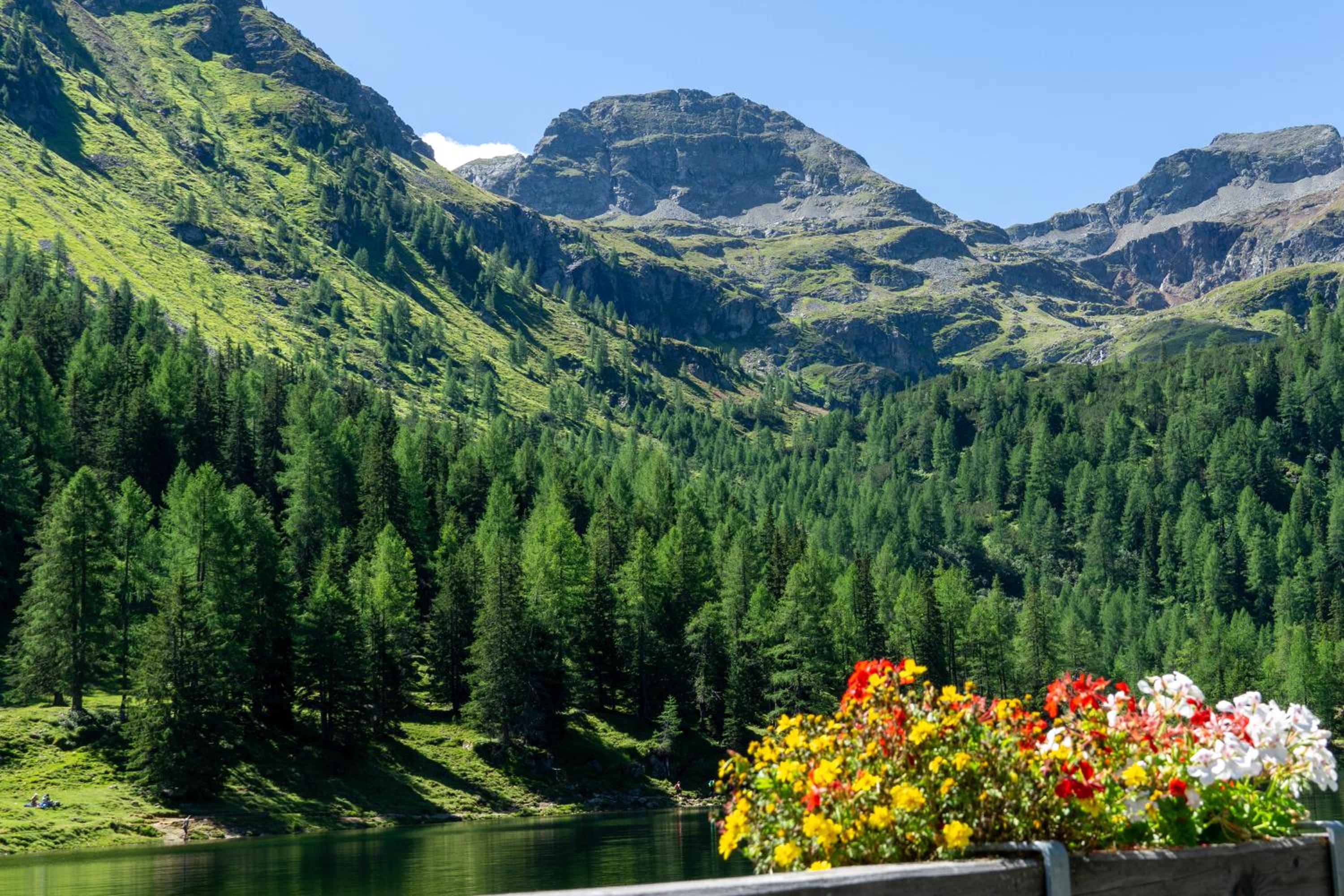 Appartement Mei Liab Schladming