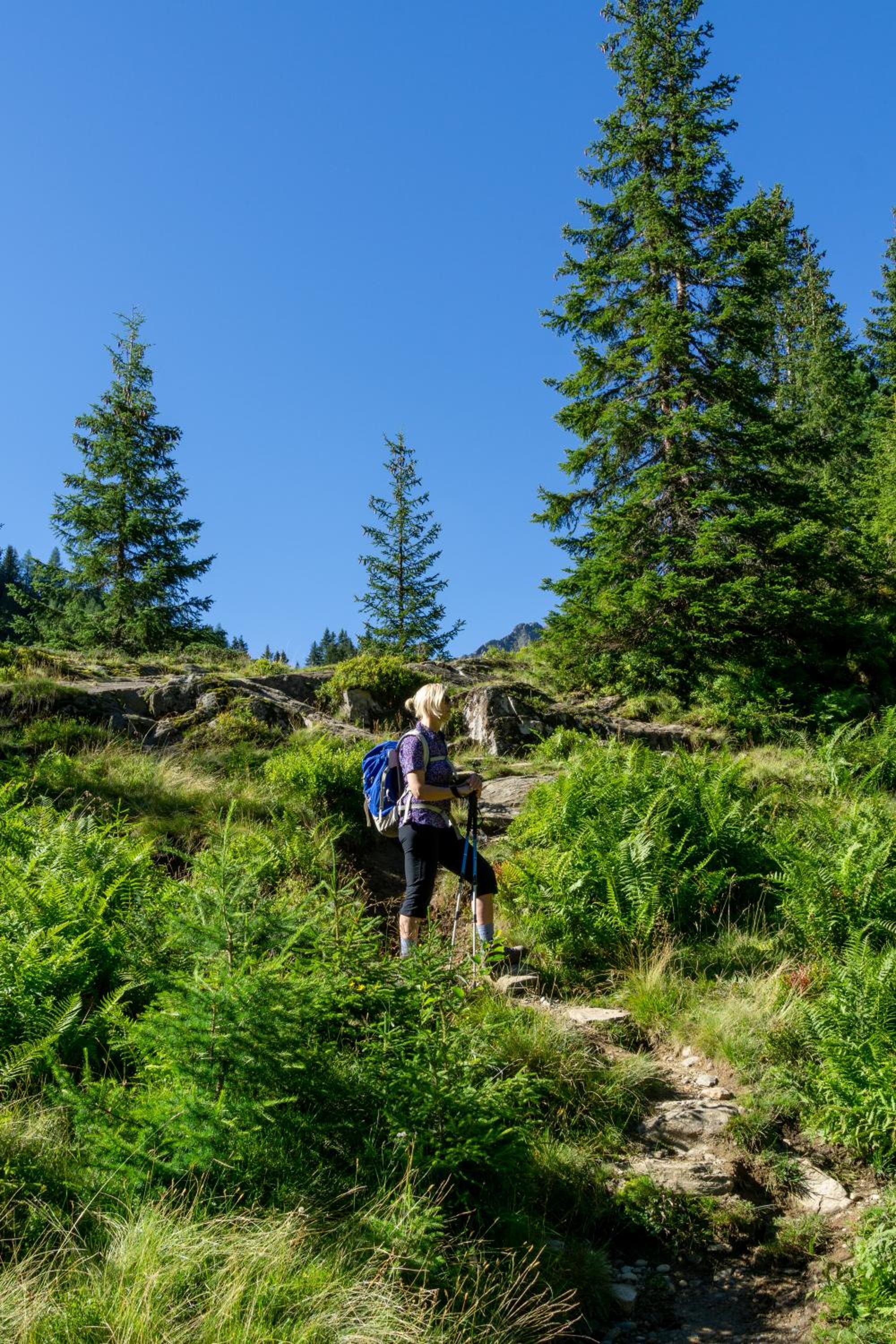 Appartement Mei Liab Schladming