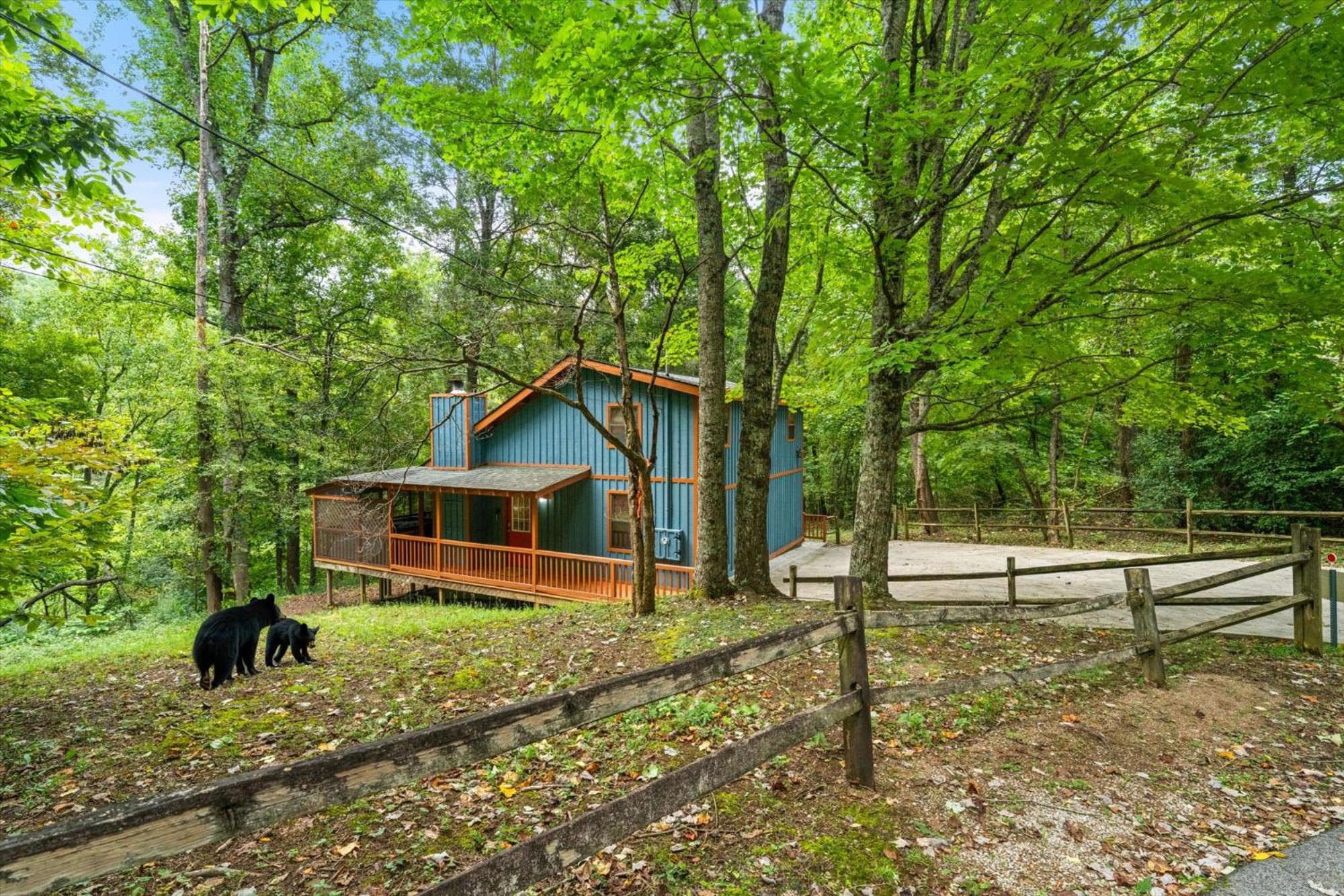 Dogwood Hideaway