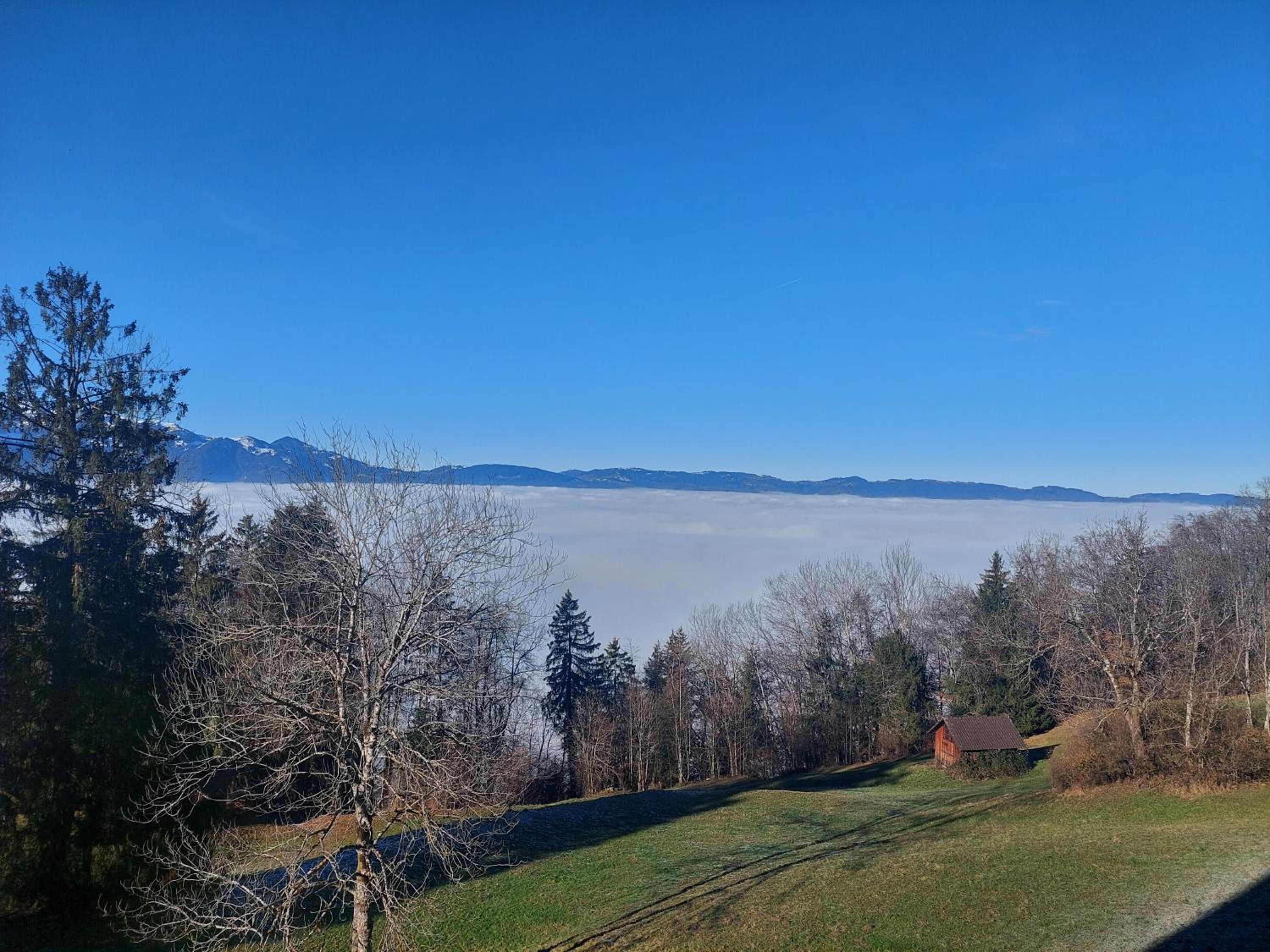 Gemütliche Wohnung mit Talblick