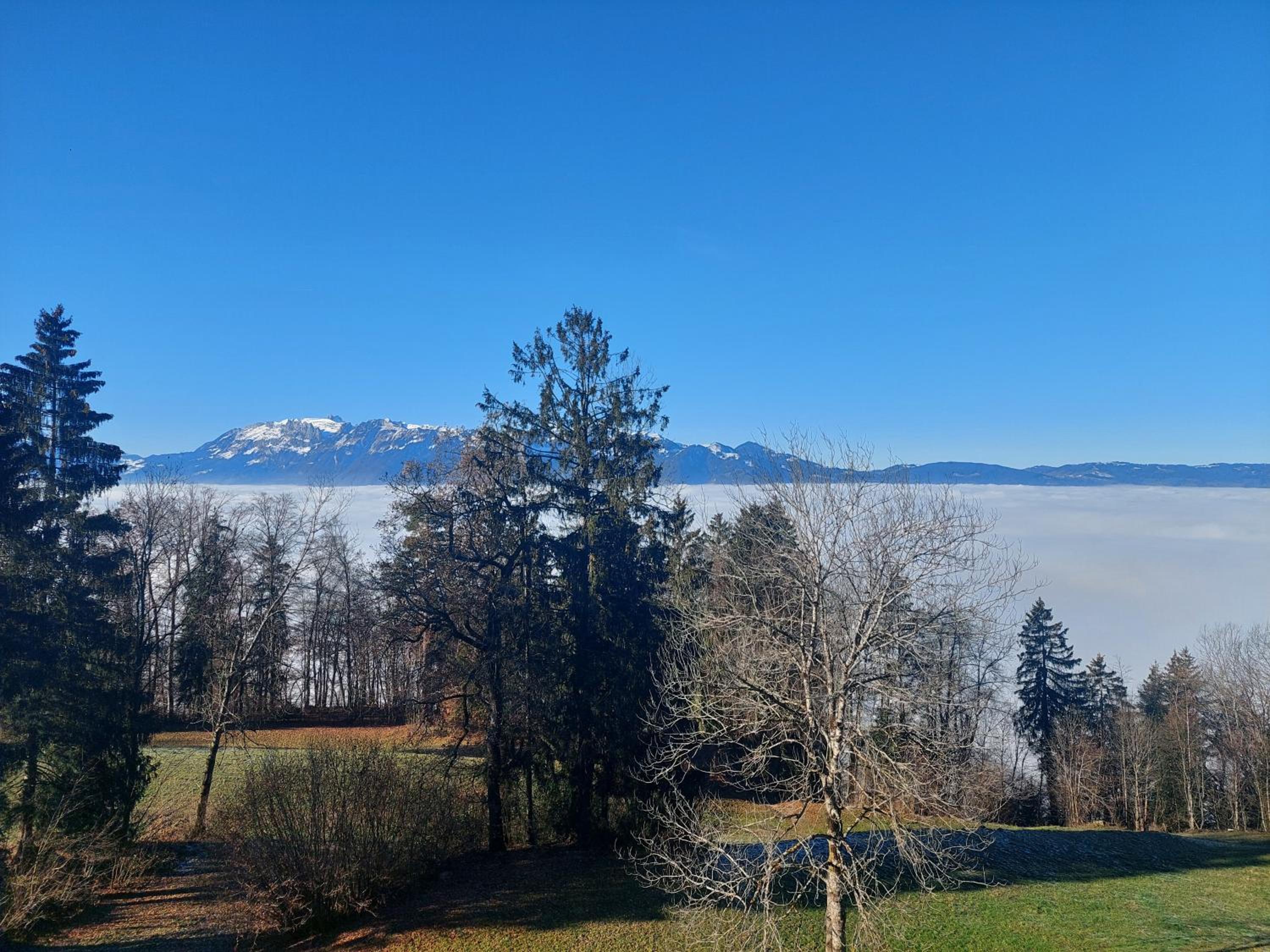 Gemütliche Wohnung mit Talblick