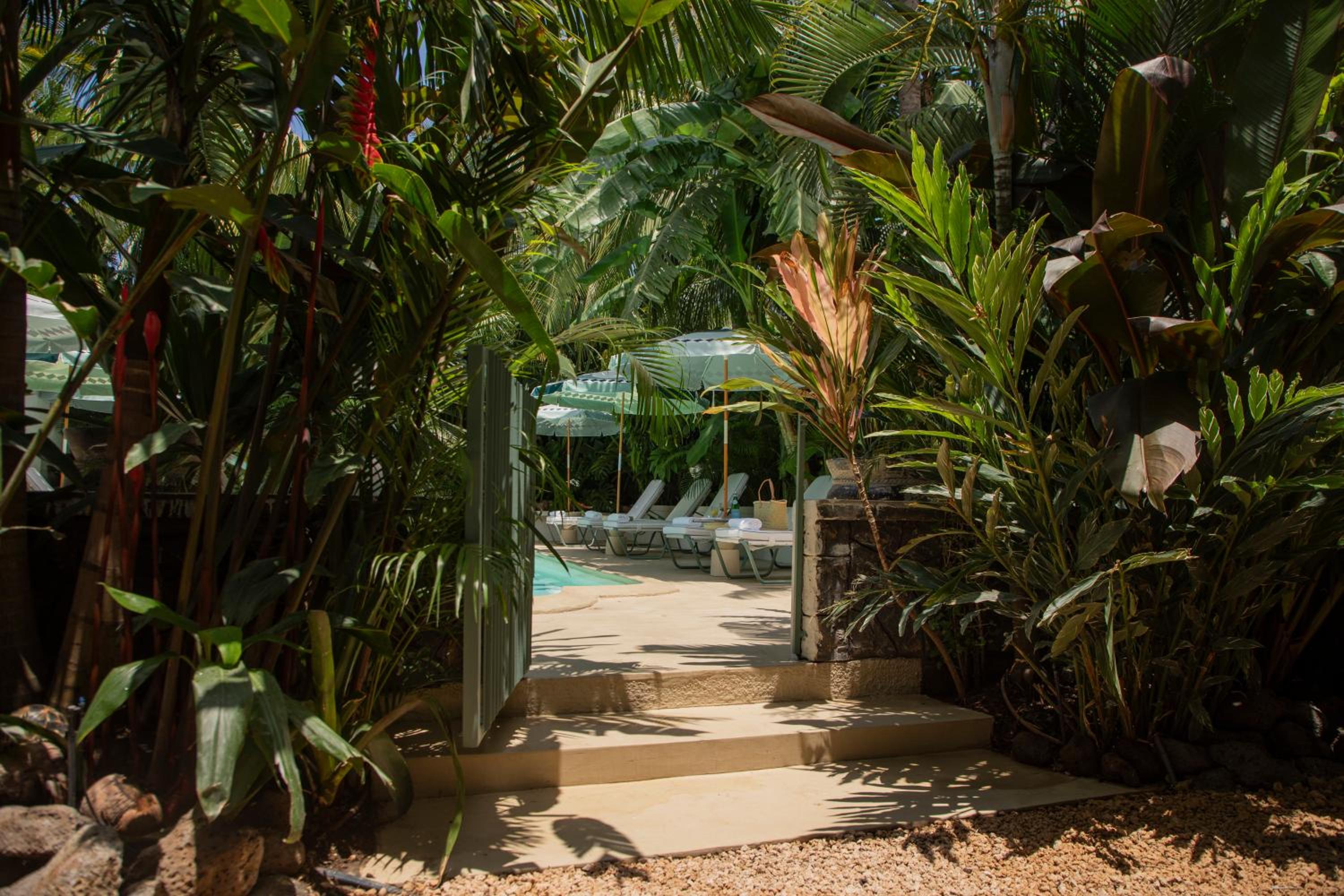 Maison Tropical