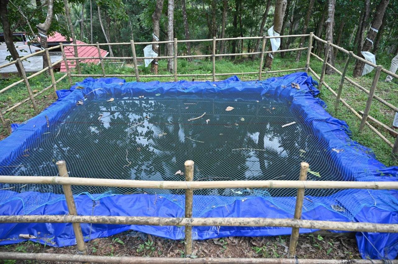 Warumala Hides