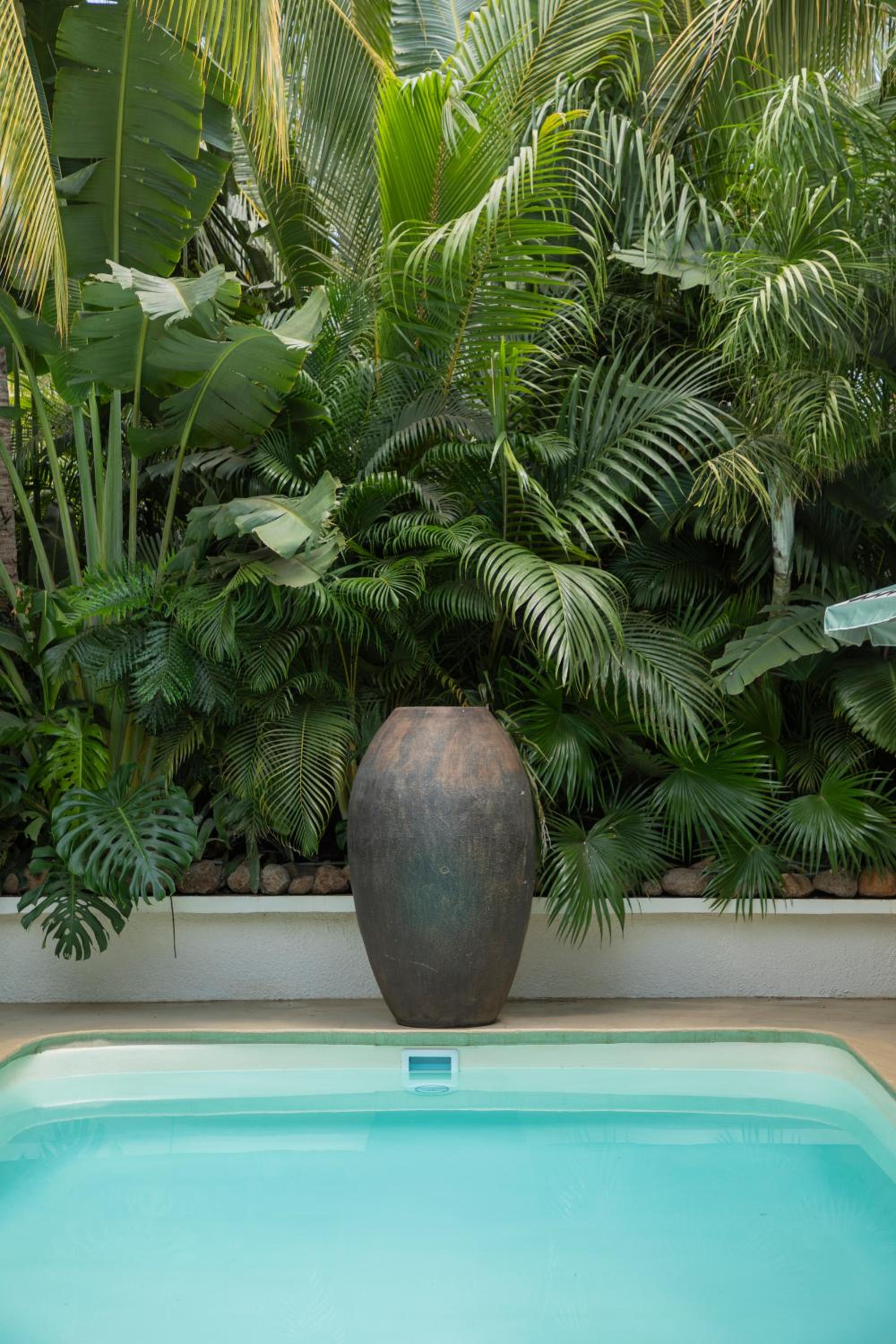 Maison Tropical