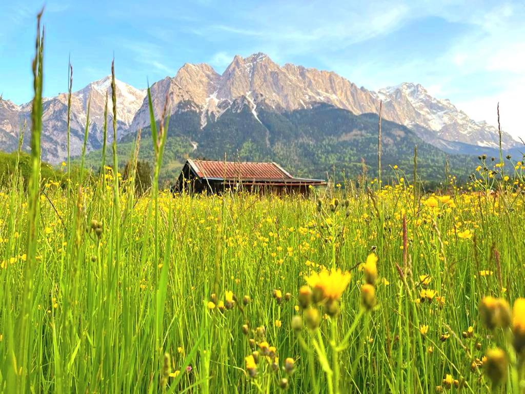 Alpenlodge am Waldrand in Grainau