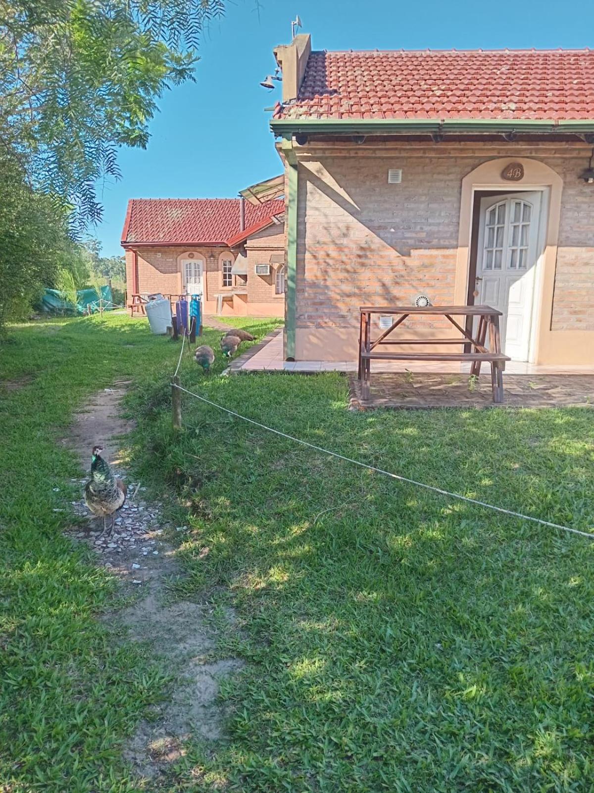 Bungalow Concordia