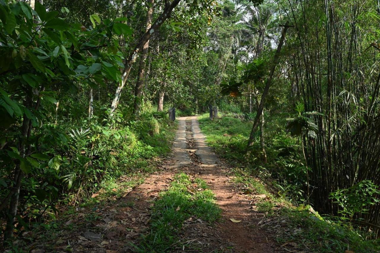 Warumala Hides