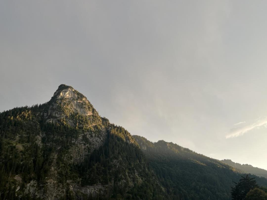 Ferienwohnungen Bergufer