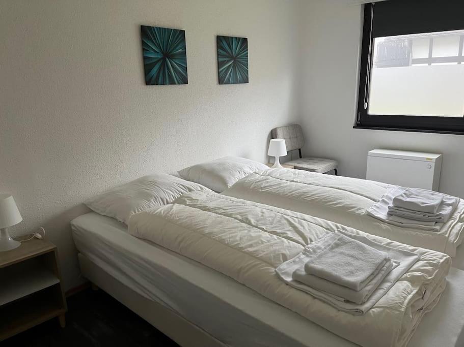 9 persoons vakantiehuis rand Sauerland Edersee