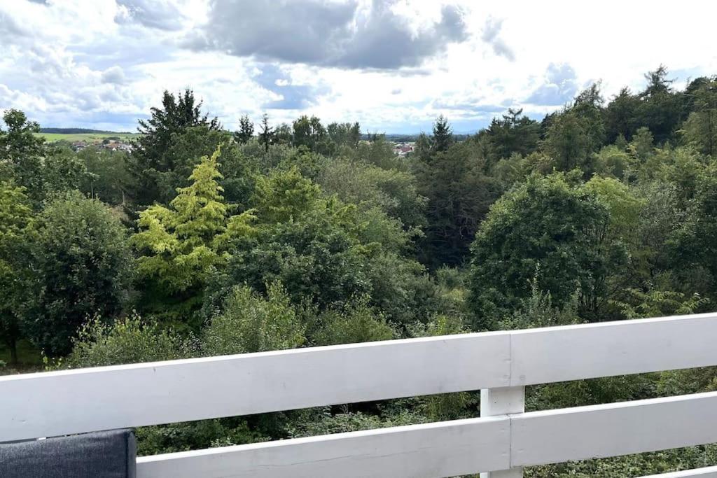 9 persoons vakantiehuis rand Sauerland Edersee