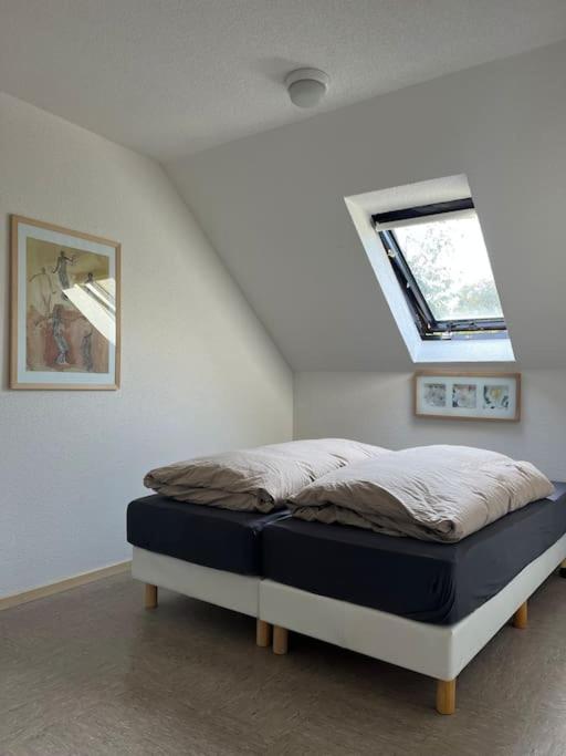 9 persoons vakantiehuis rand Sauerland Edersee