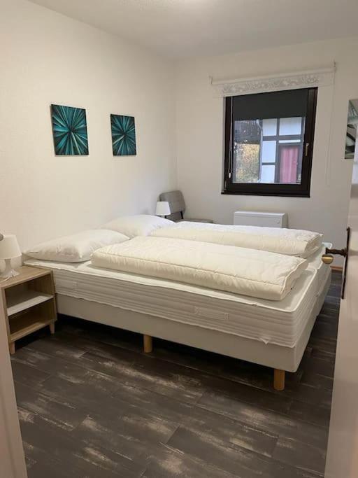9 persoons vakantiehuis rand Sauerland Edersee