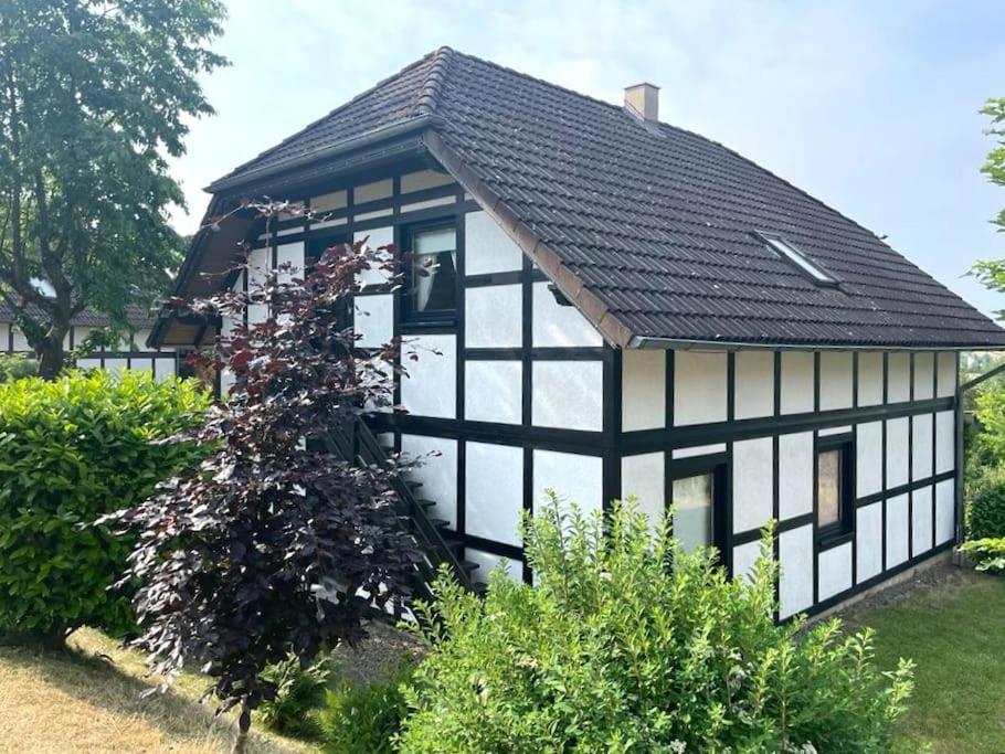 9 persoons vakantiehuis rand Sauerland Edersee