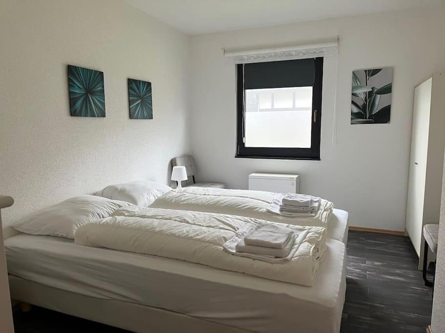 9 persoons vakantiehuis rand Sauerland Edersee