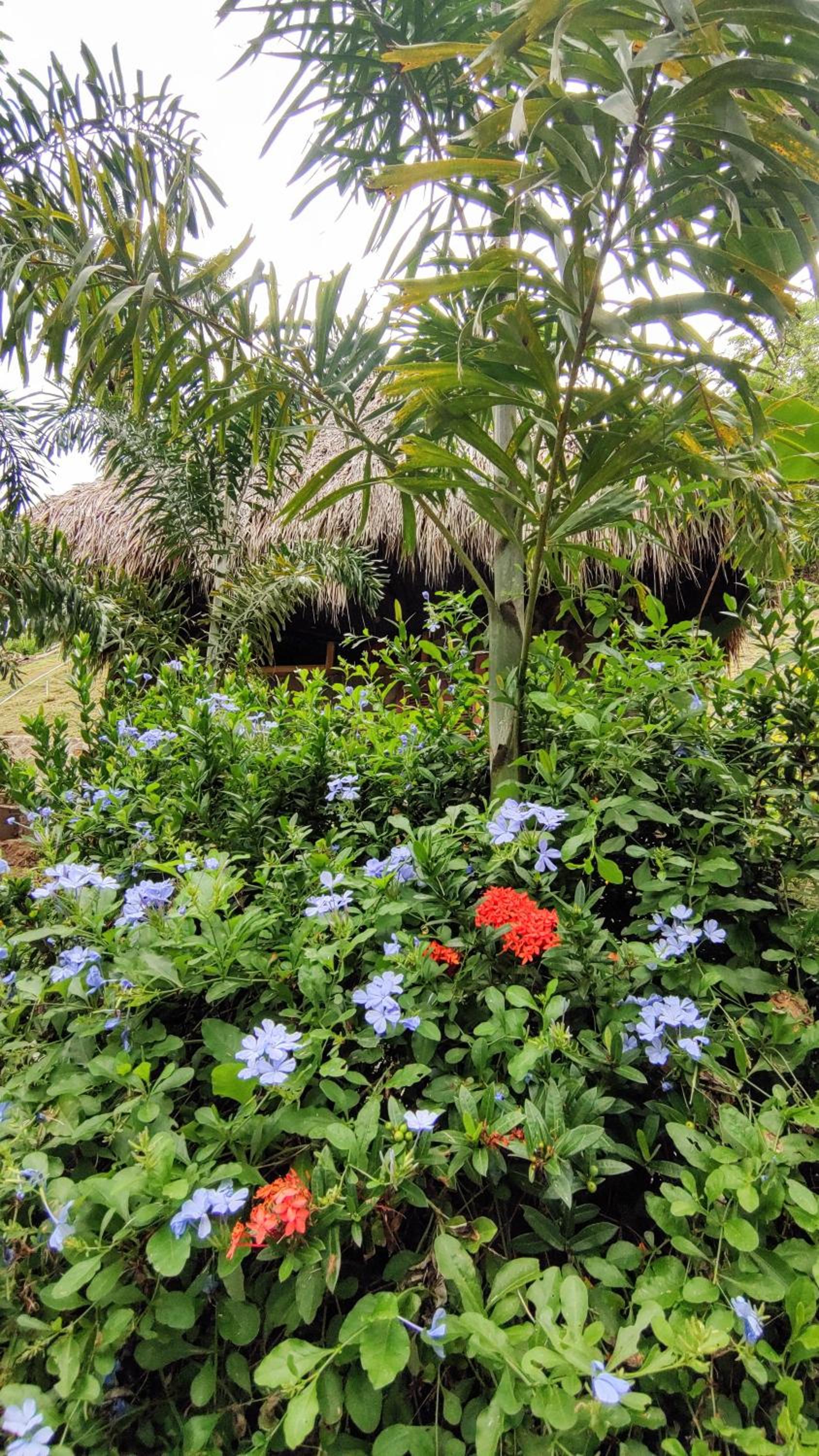 other