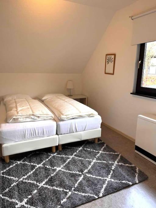 9 persoons vakantiehuis rand Sauerland Edersee