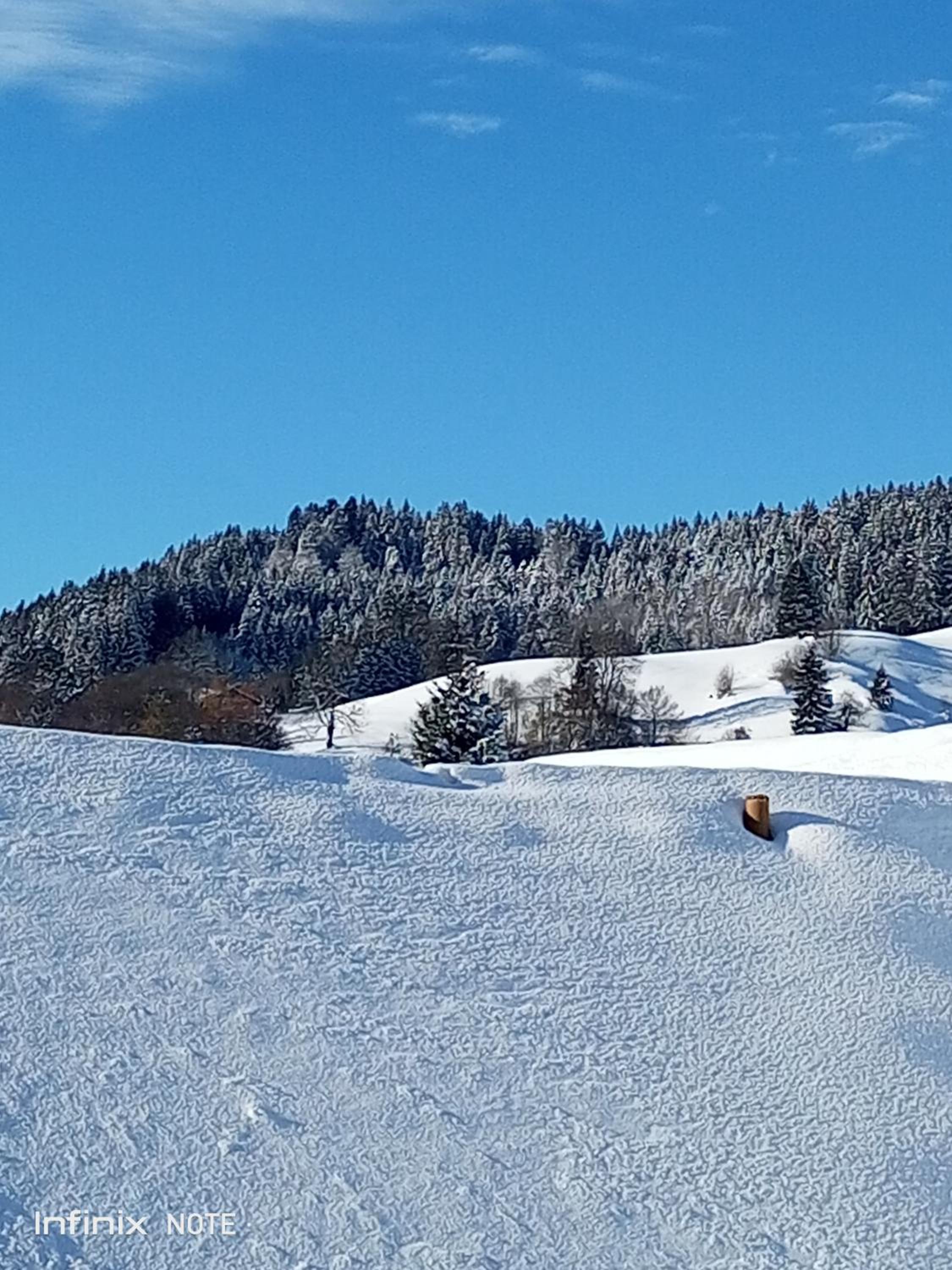 Allgäu Vibes - OberstaufenPLUS, Zugang Bahnhof, mit Aussicht, wettergeschützter Balkon
