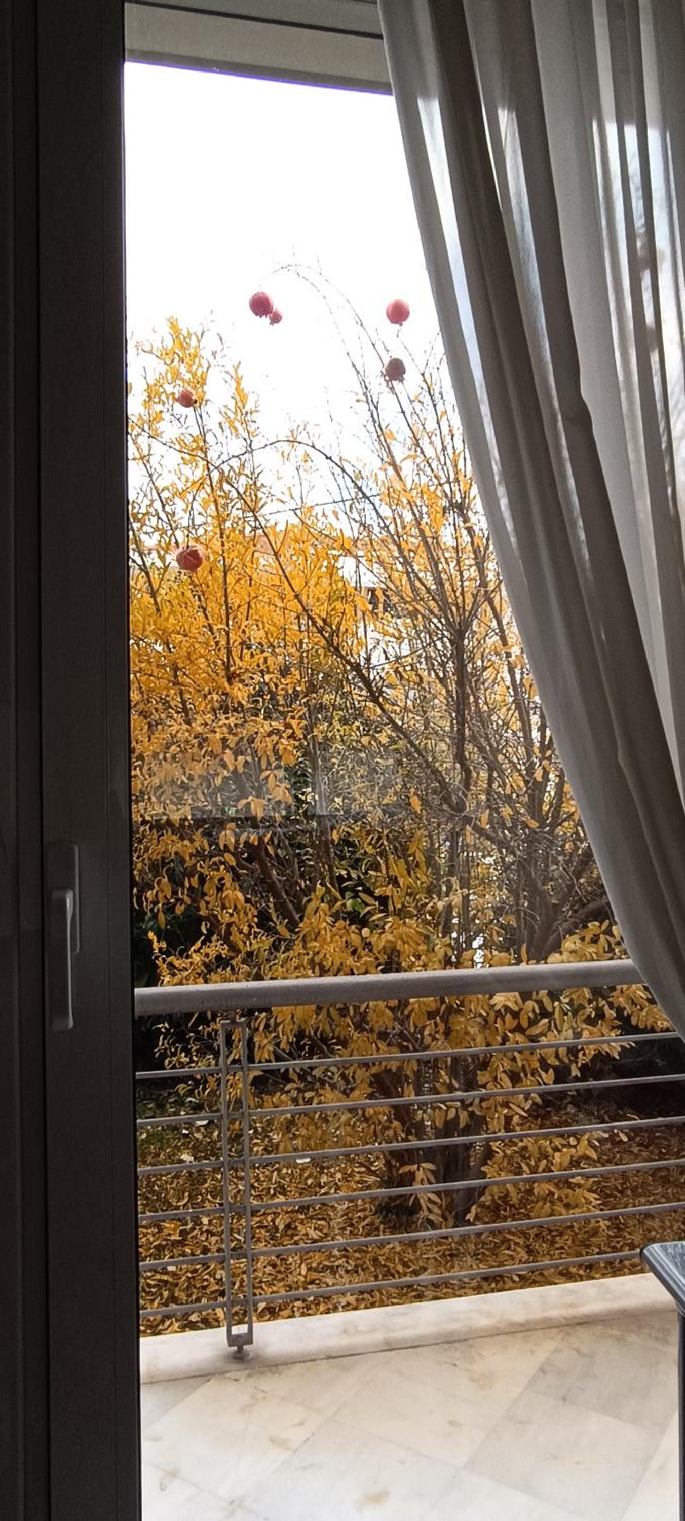 Lora's house - Property Image 15