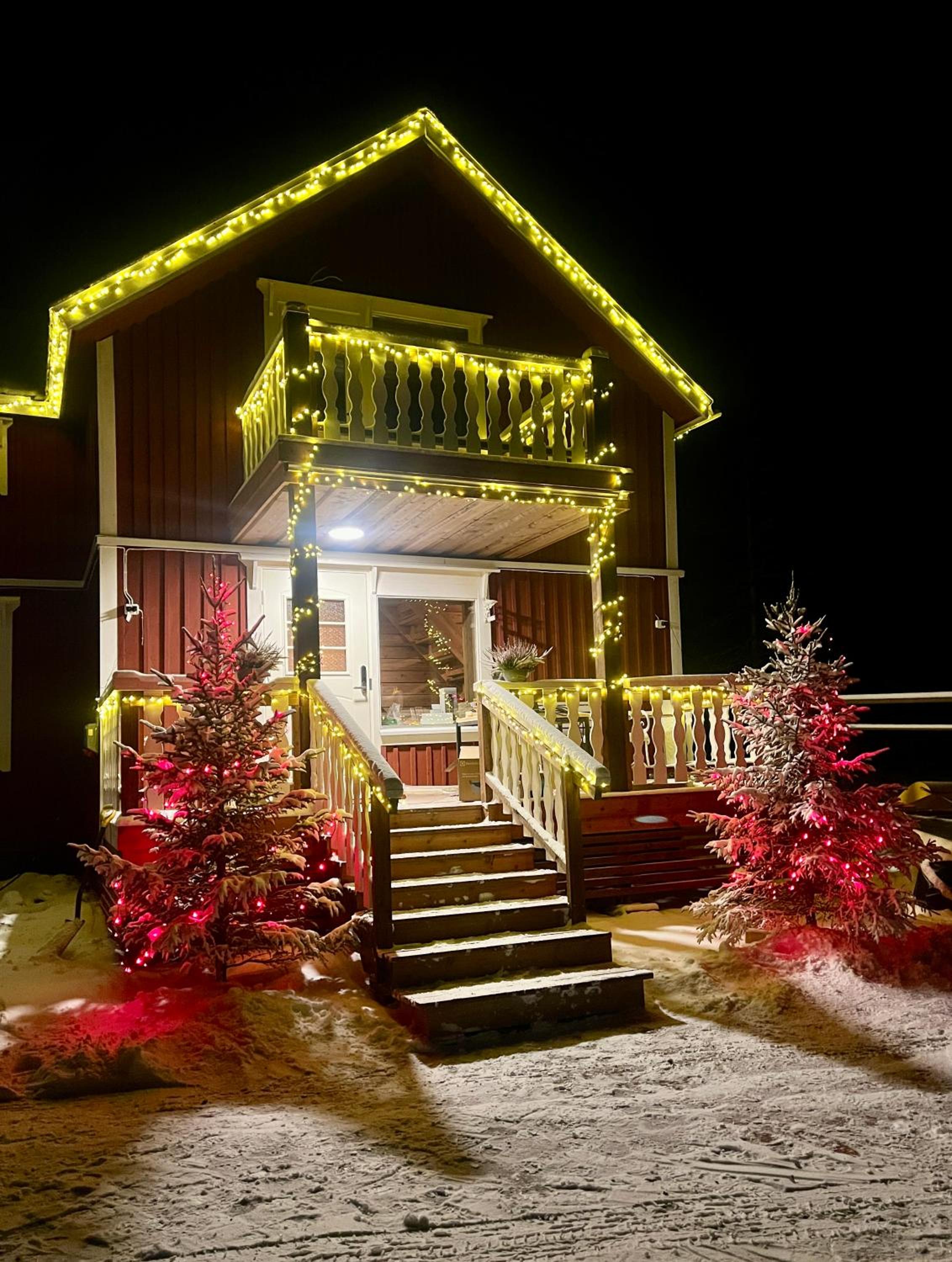 Art House of Lady Christmas