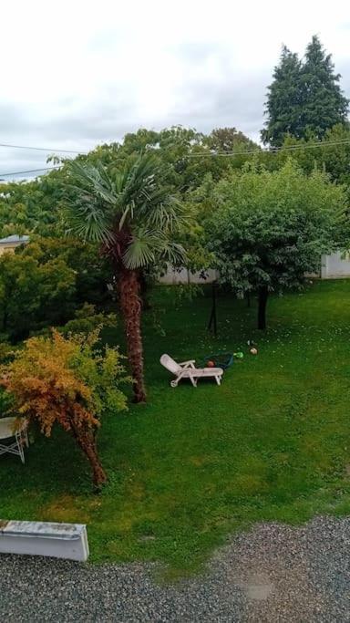 Alloggio grazioso con vista giardino e parcheggio view 2